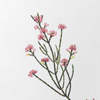 Floral: Plate No. 05