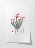 Floral: Plate No. 06