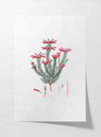 Floral: Plate No. 06