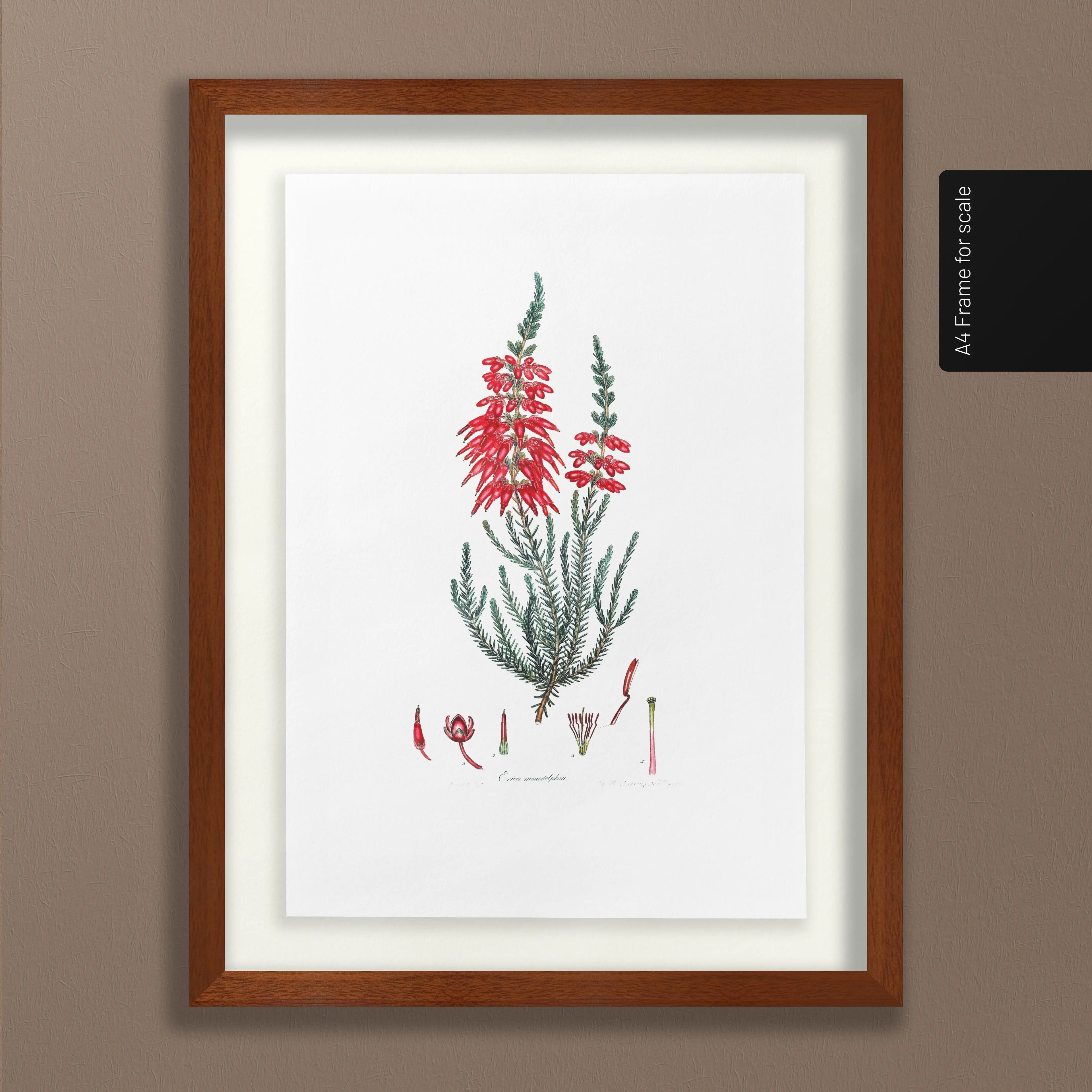 Floral: Plate No. 07