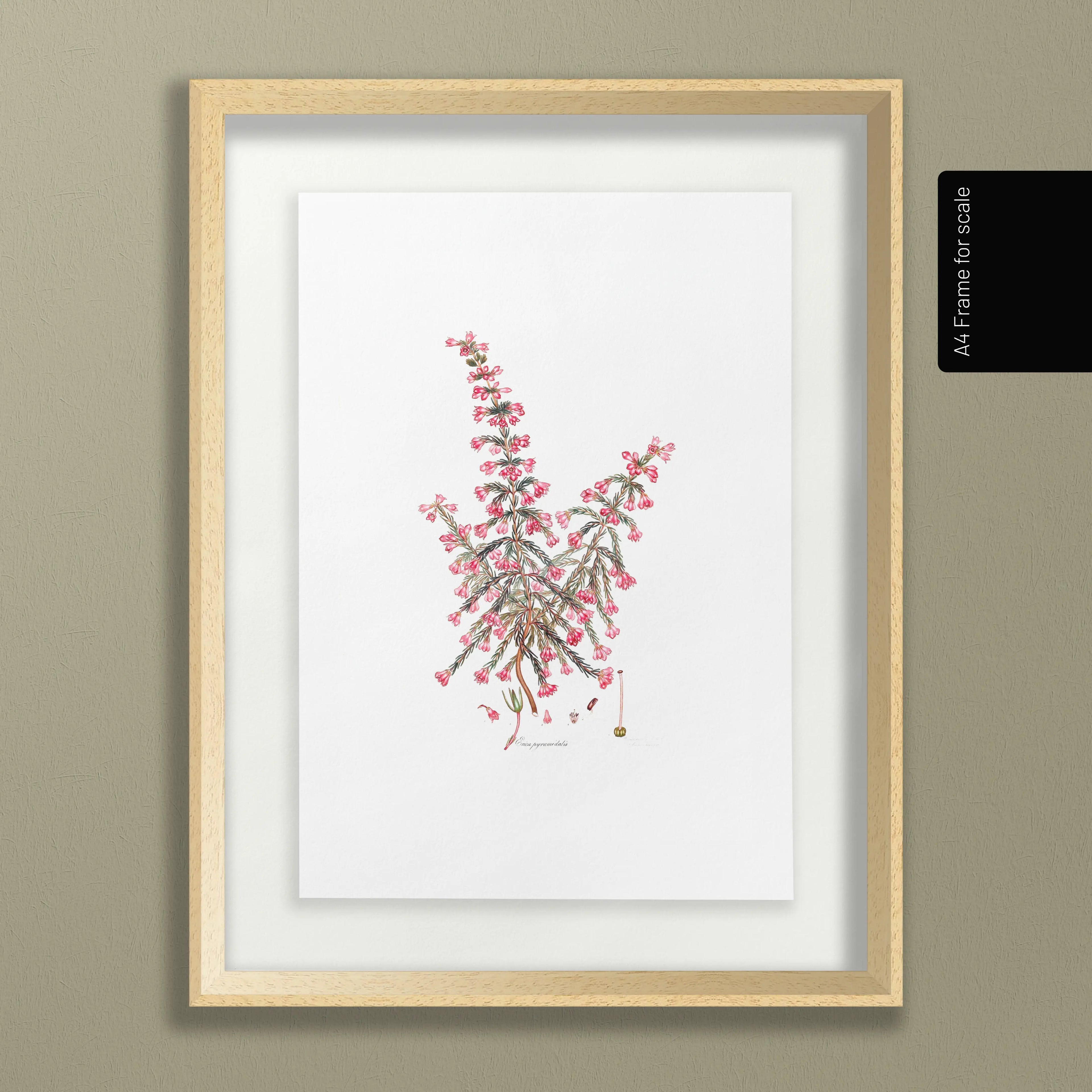 Floral: Plate No. 08