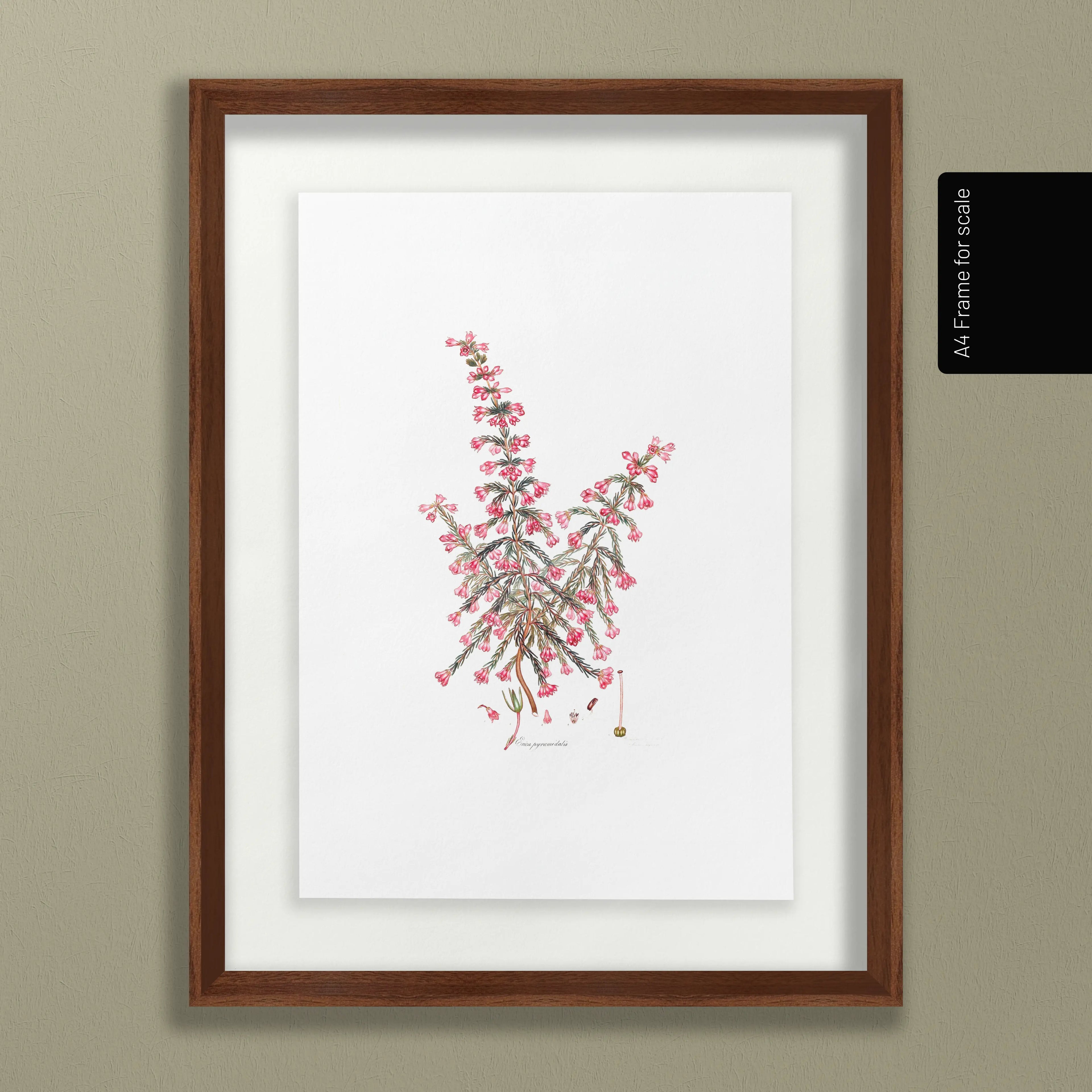 Floral: Plate No. 08