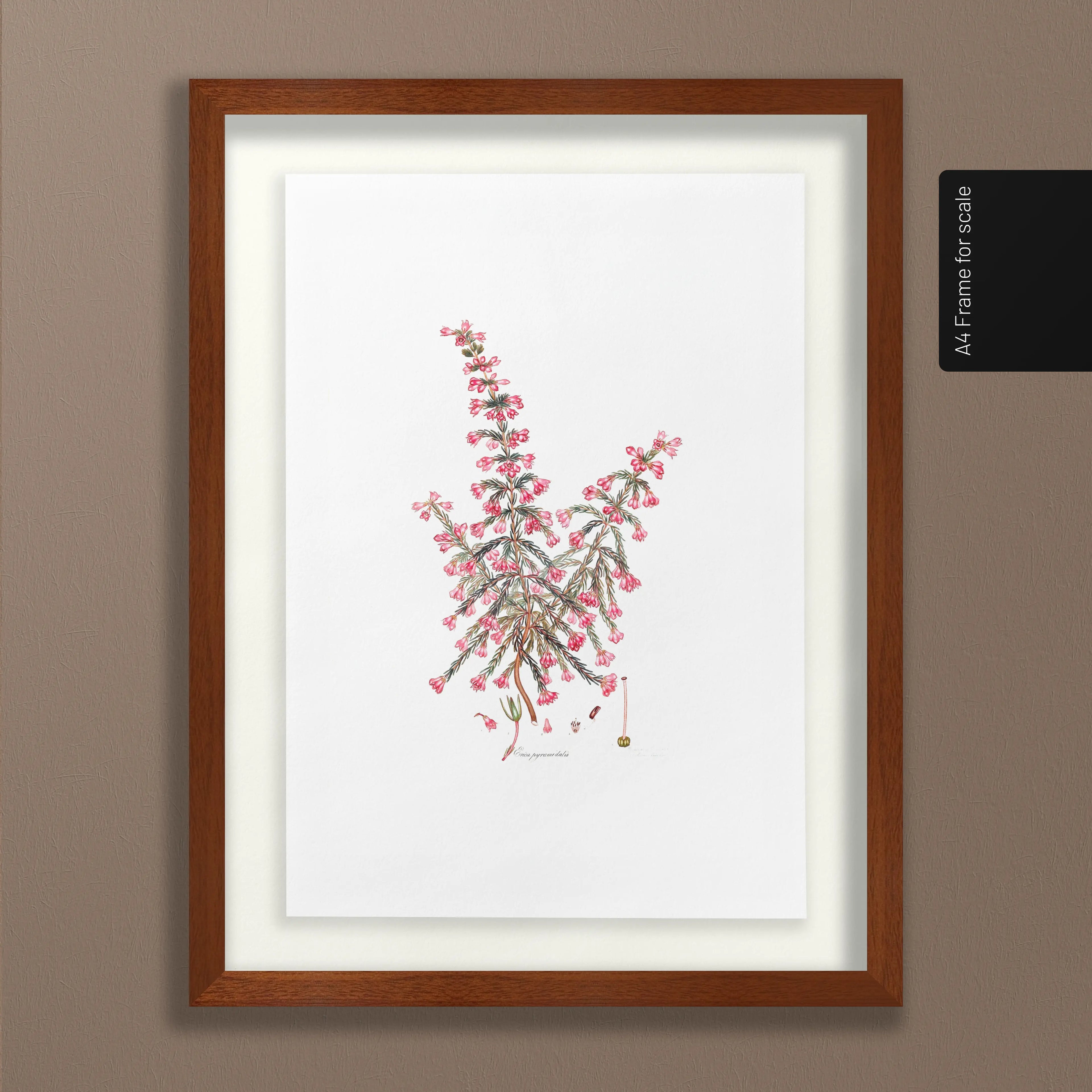 Floral: Plate No. 08