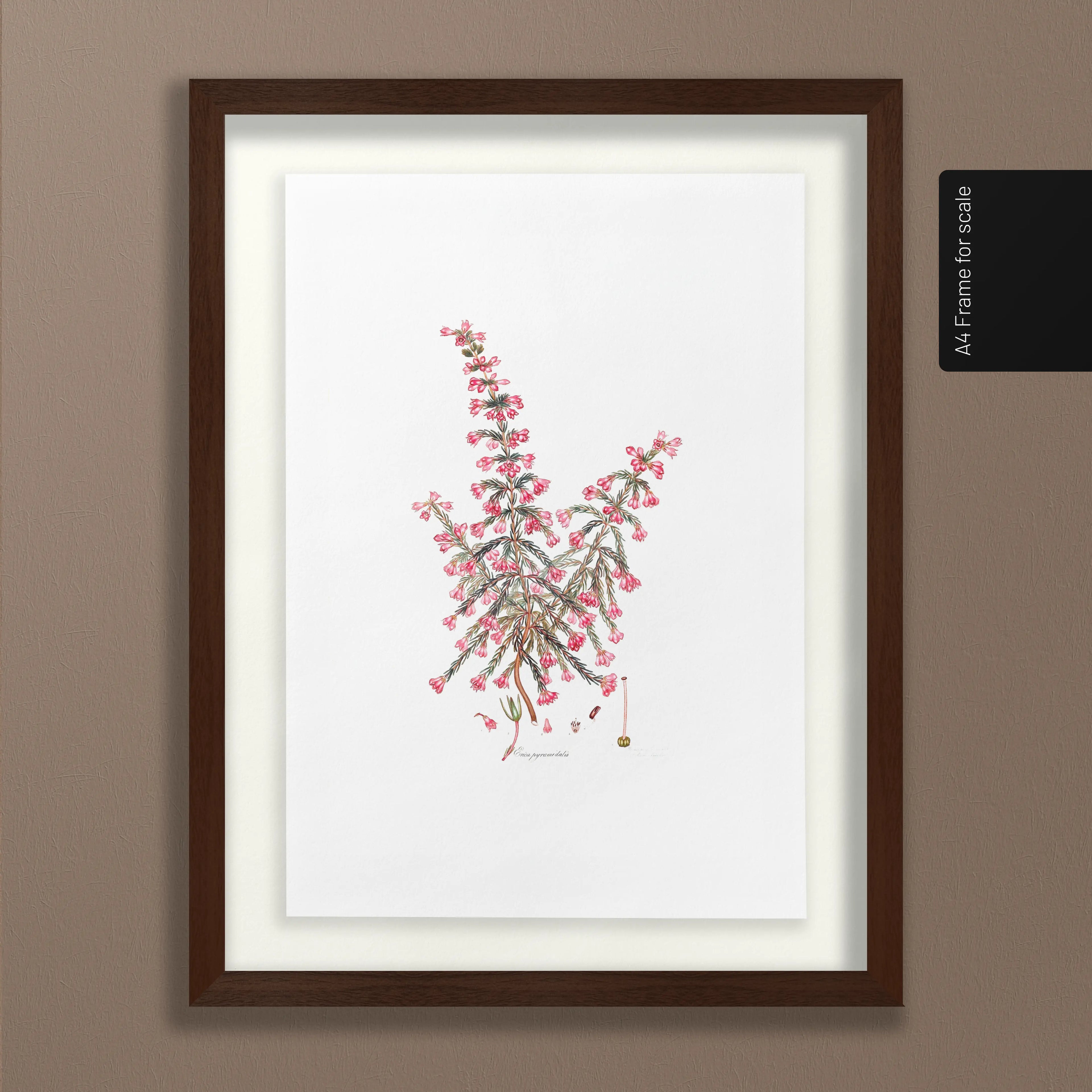 Floral: Plate No. 08