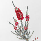 Floral: Plate No. 09