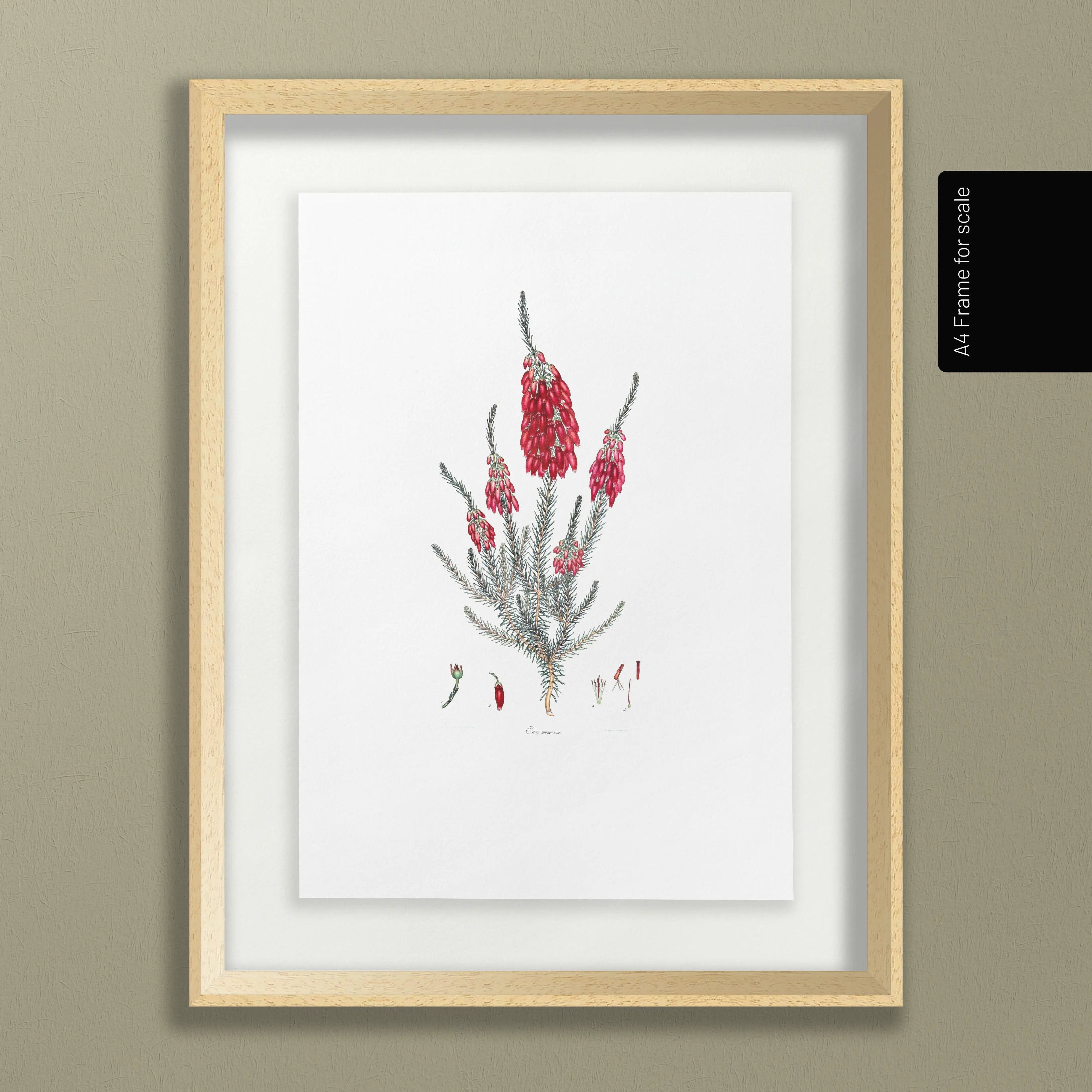 Floral: Plate No. 09