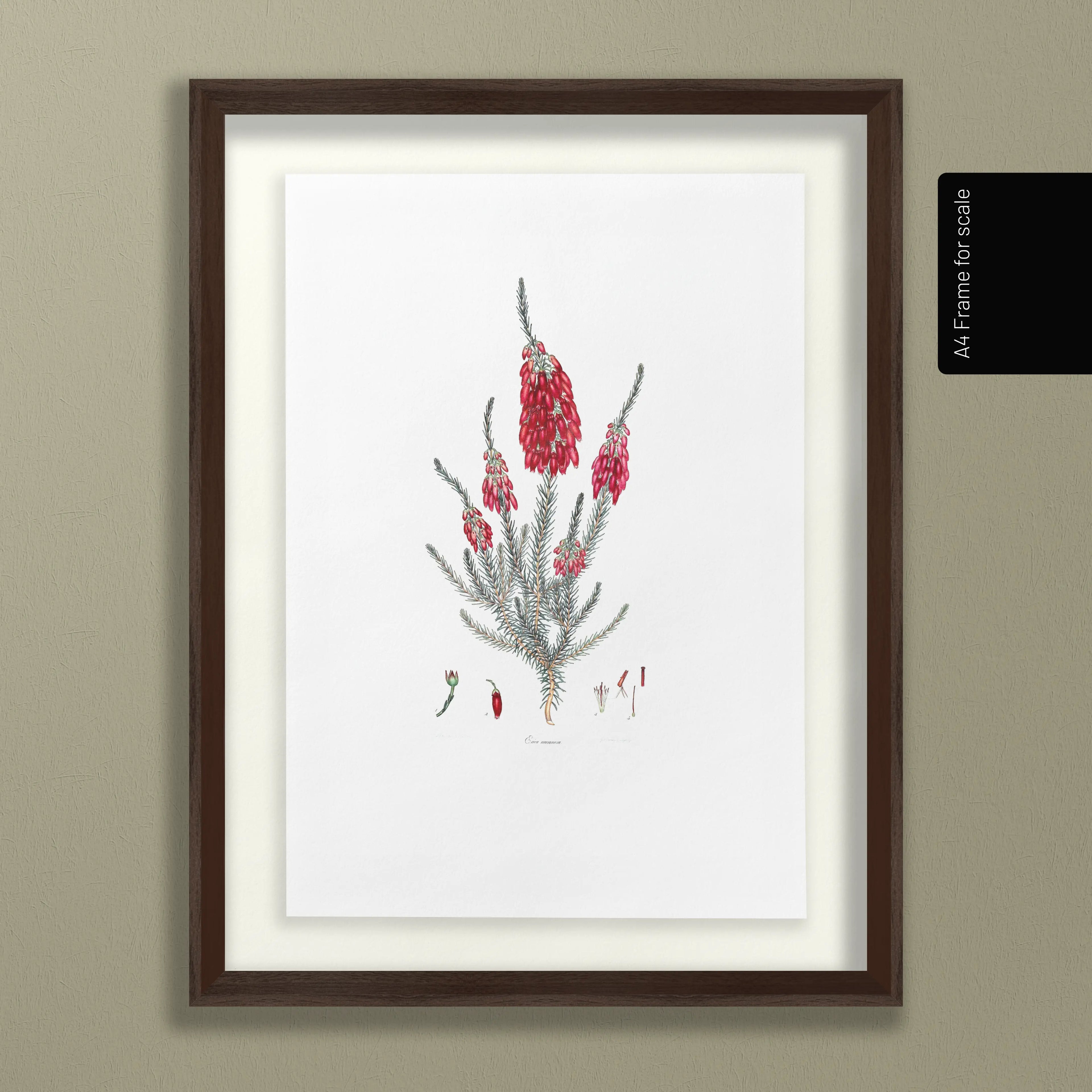 Floral: Plate No. 09
