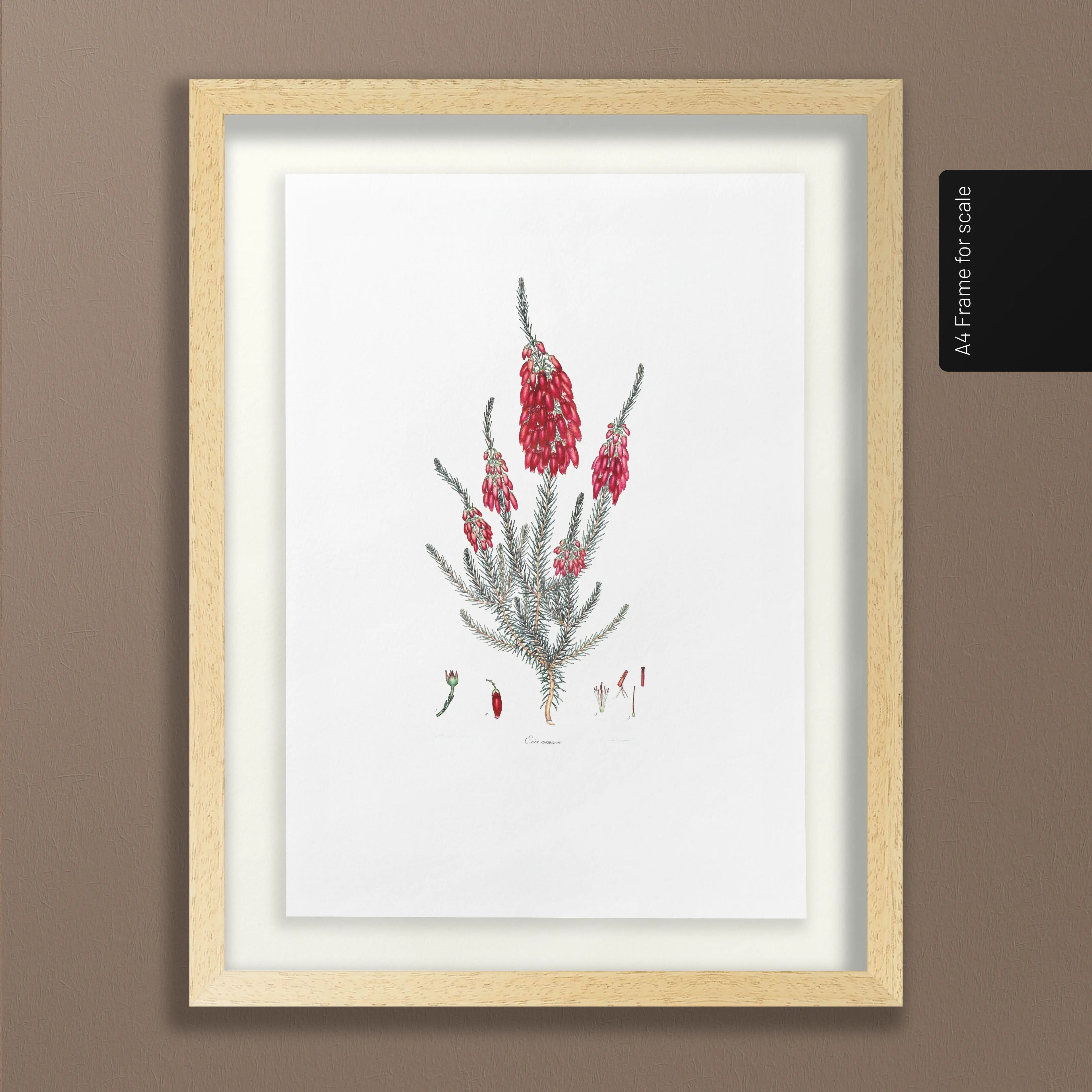 Floral: Plate No. 09