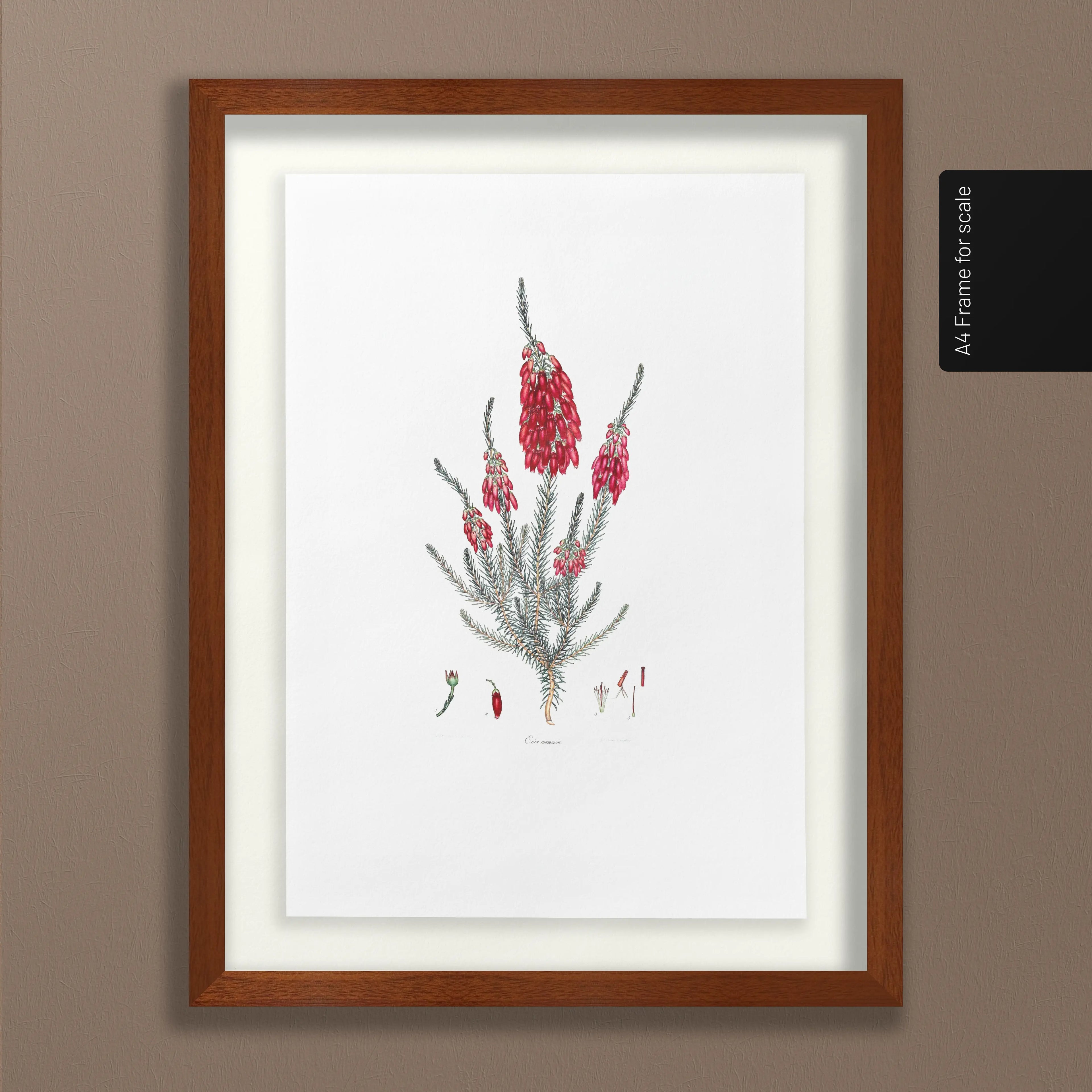 Floral: Plate No. 09