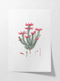 Floral: Plate No. 11