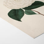 Floral: Plate No. 12
