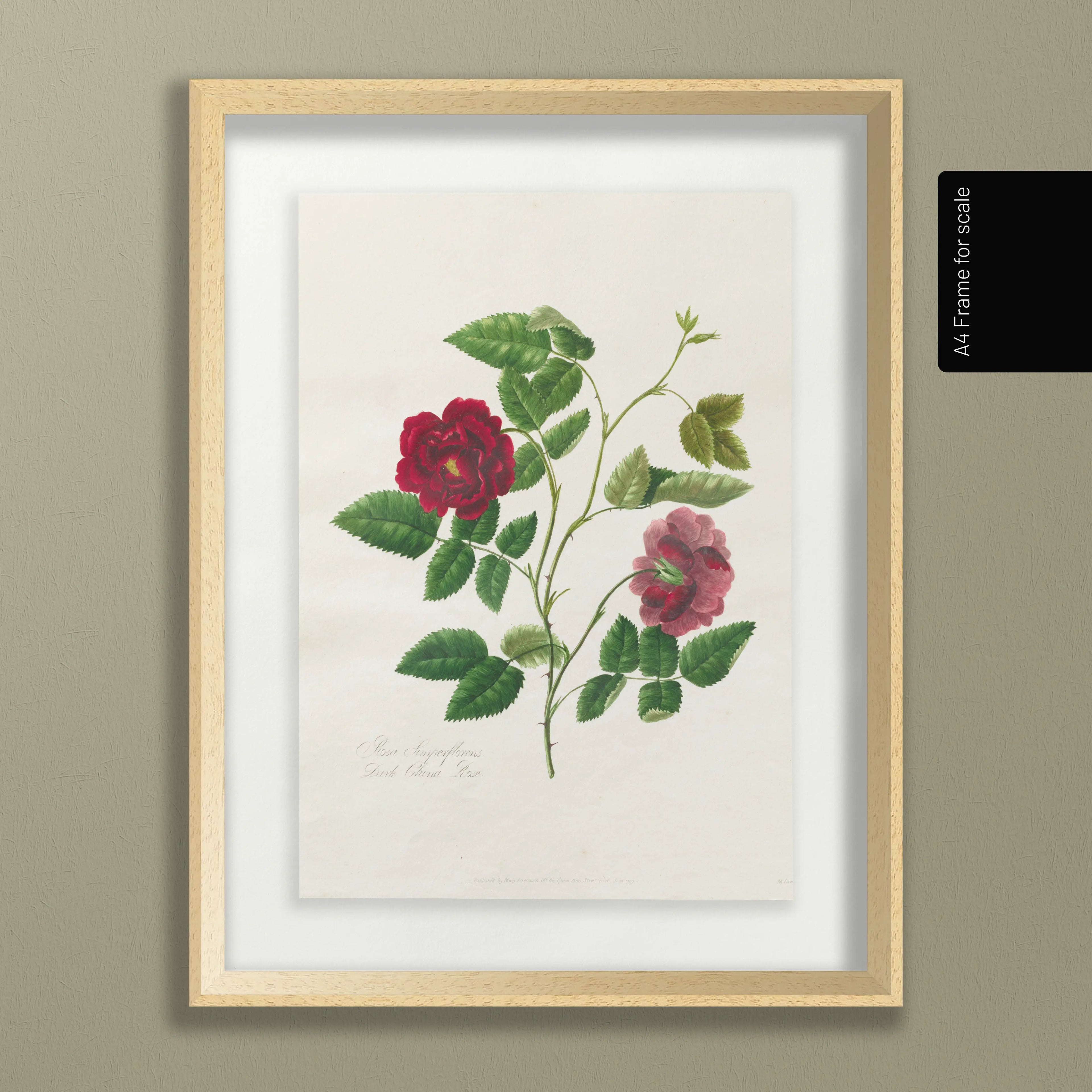 Floral: Plate No. 13