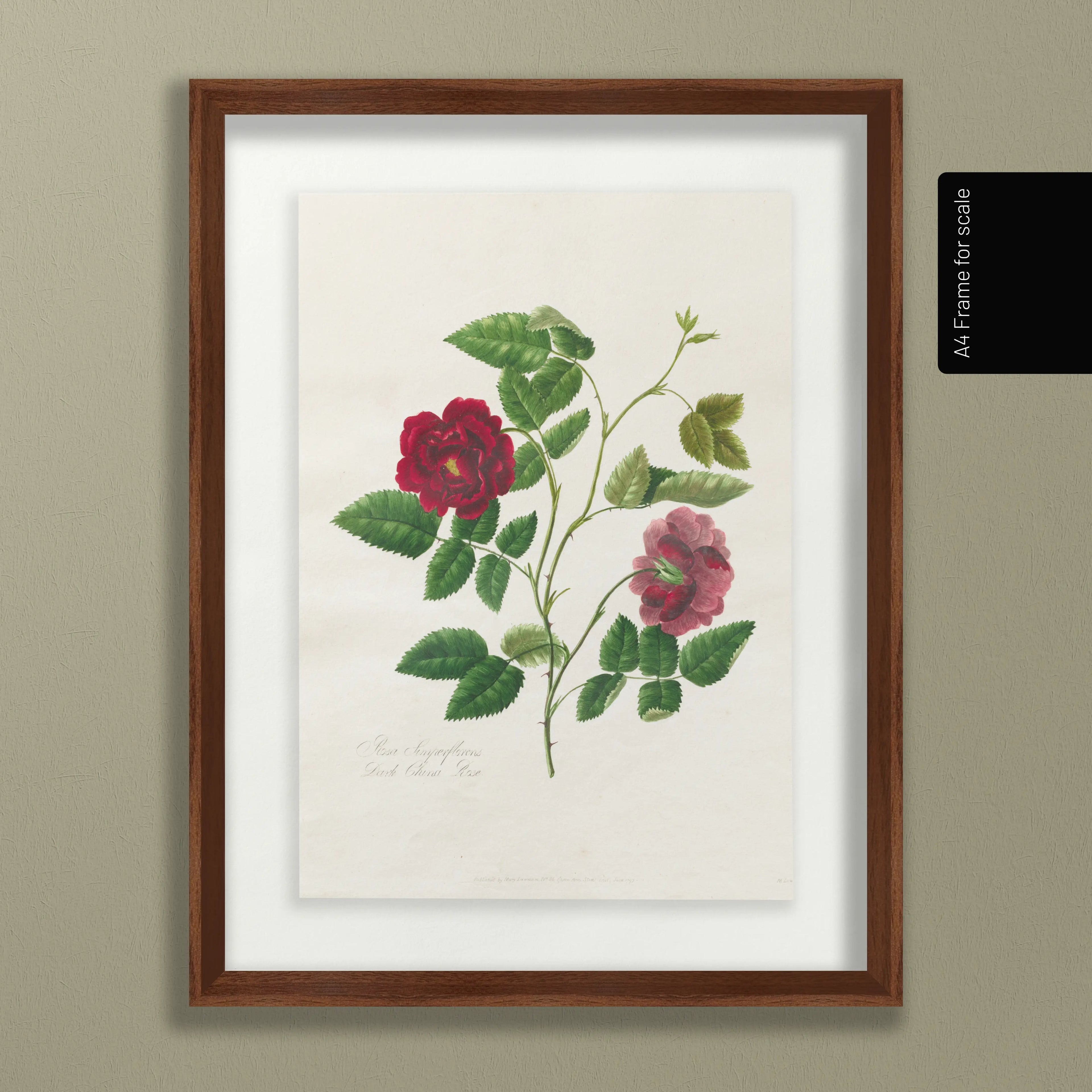 Floral: Plate No. 13