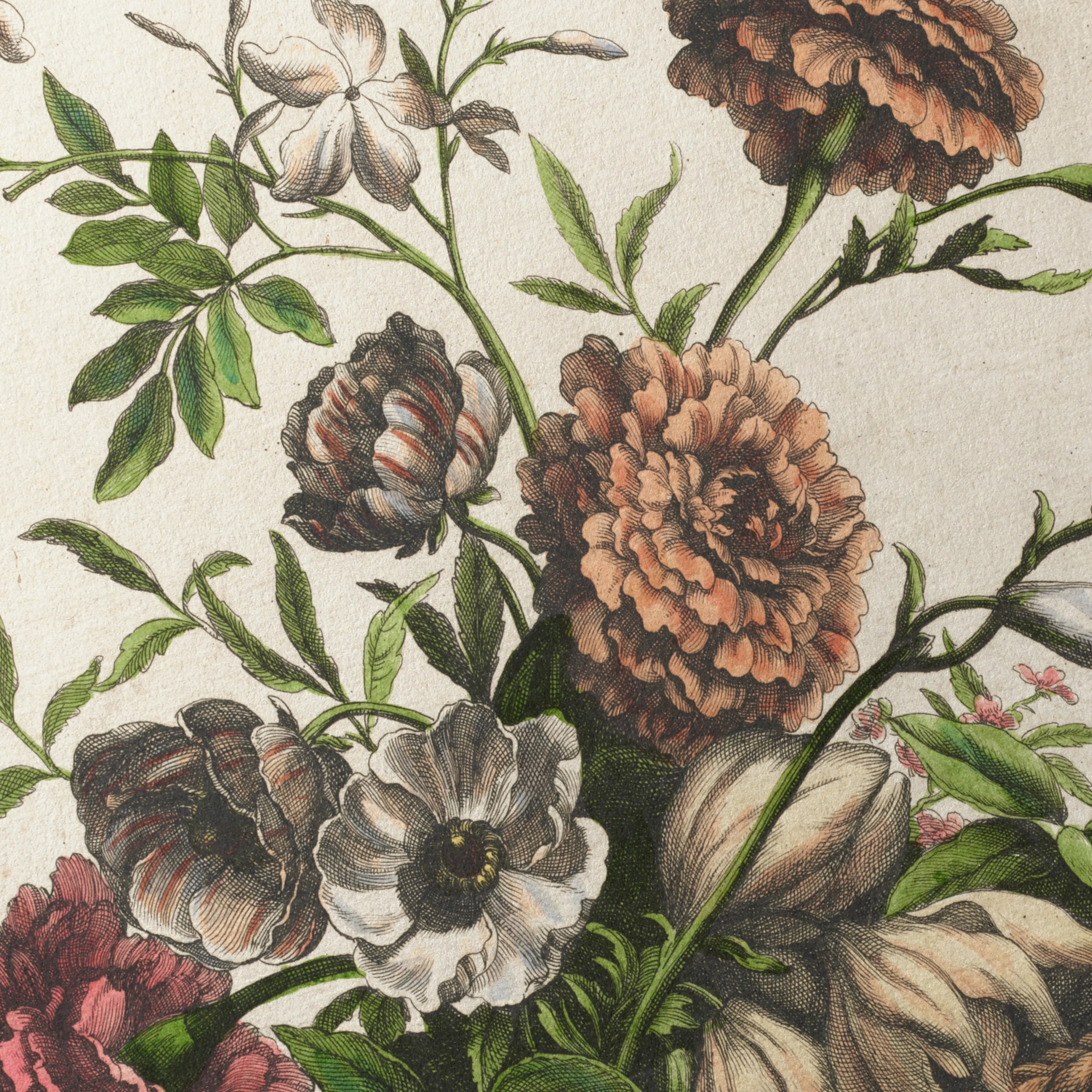 Floral: Plate No. 14