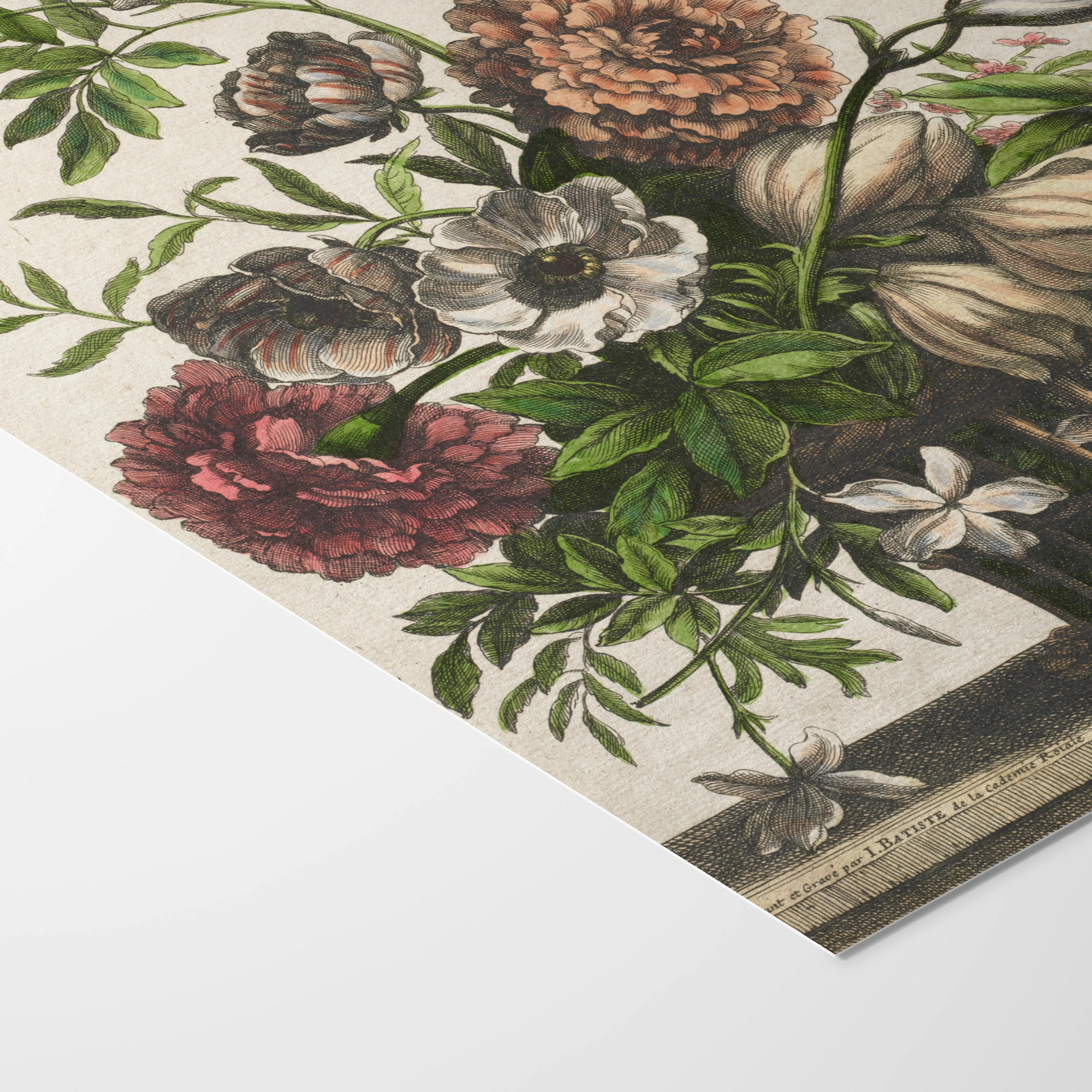 Floral: Plate No. 14