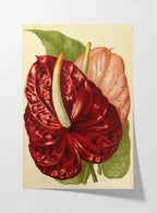 Floral: Plate No. 15