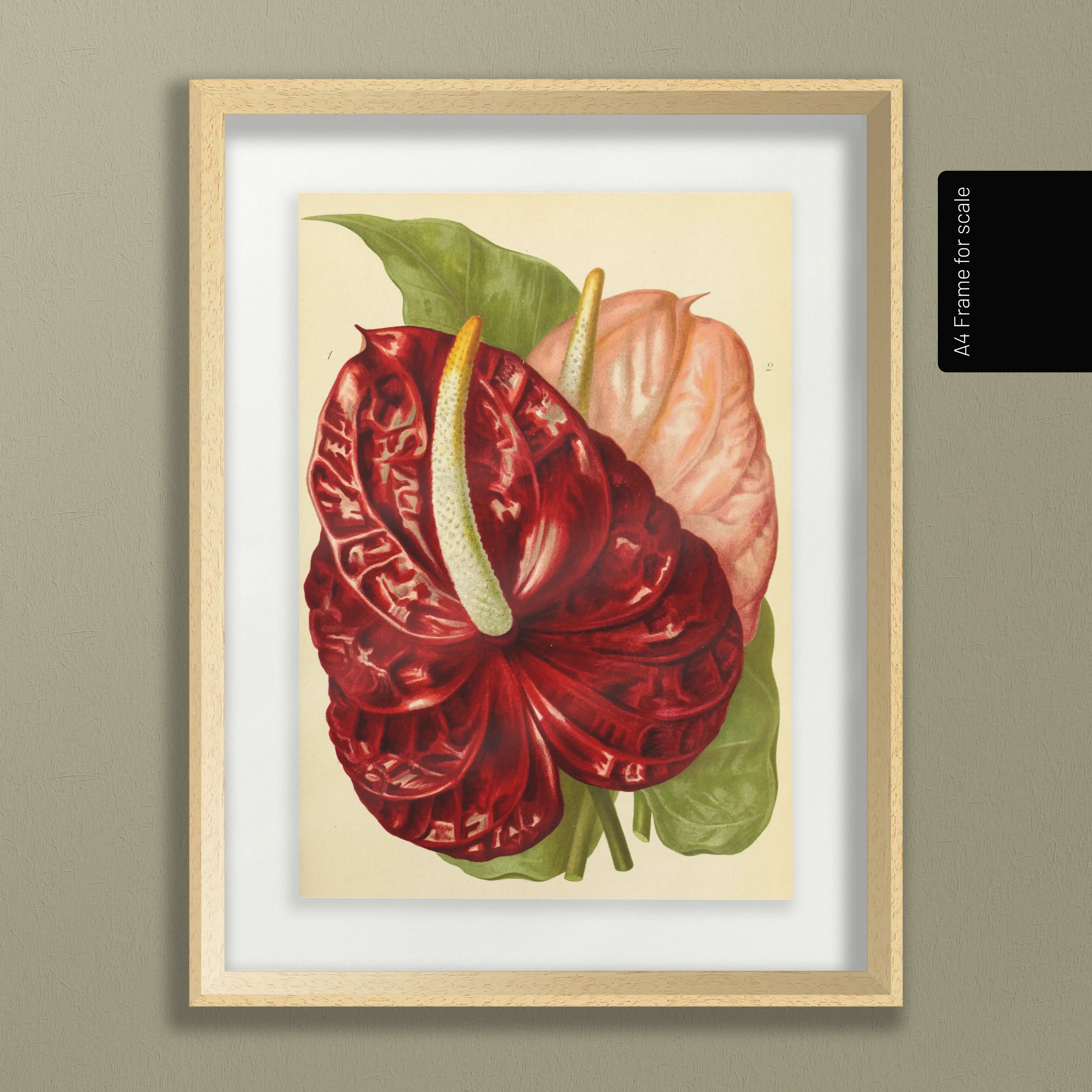 Floral: Plate No. 15