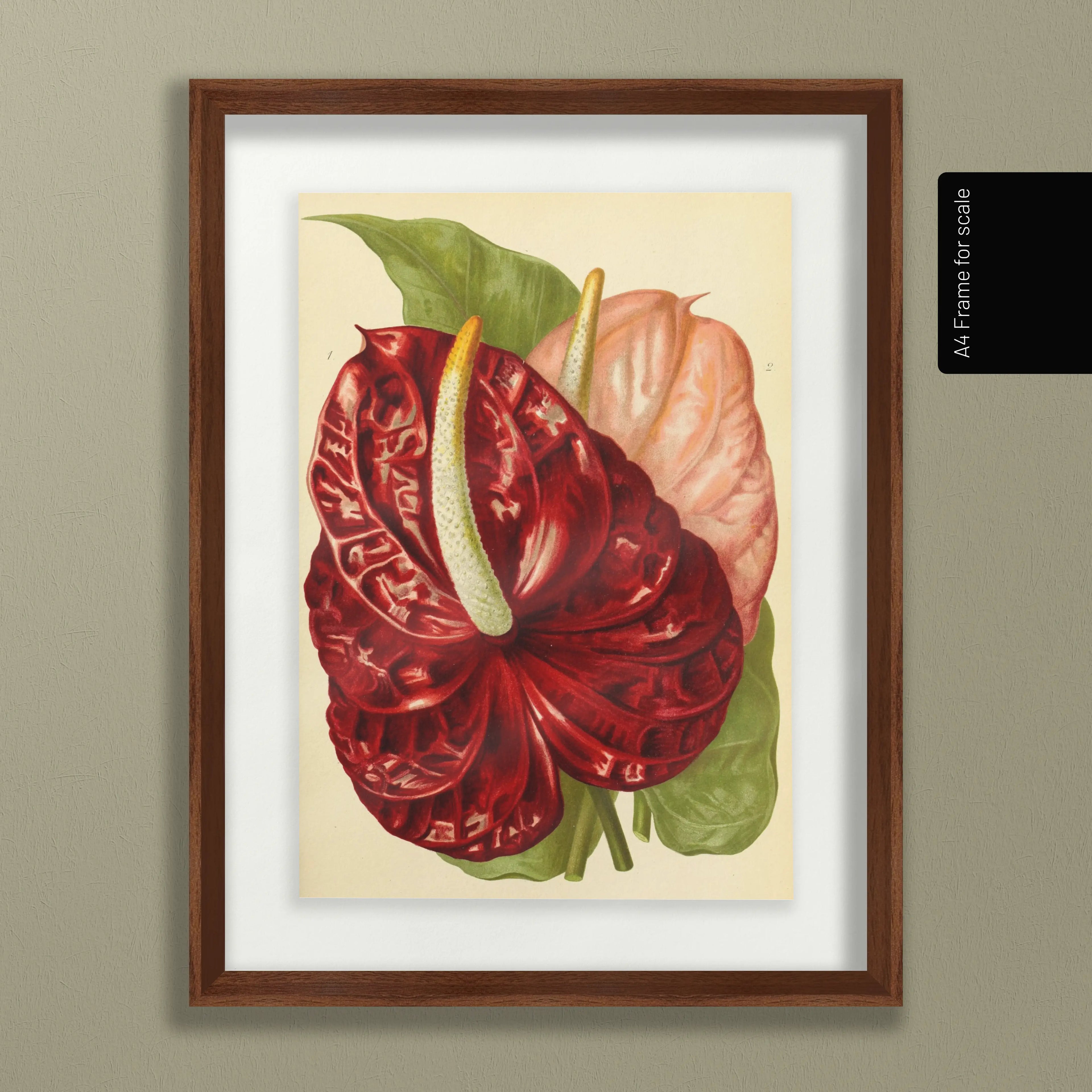 Floral: Plate No. 15