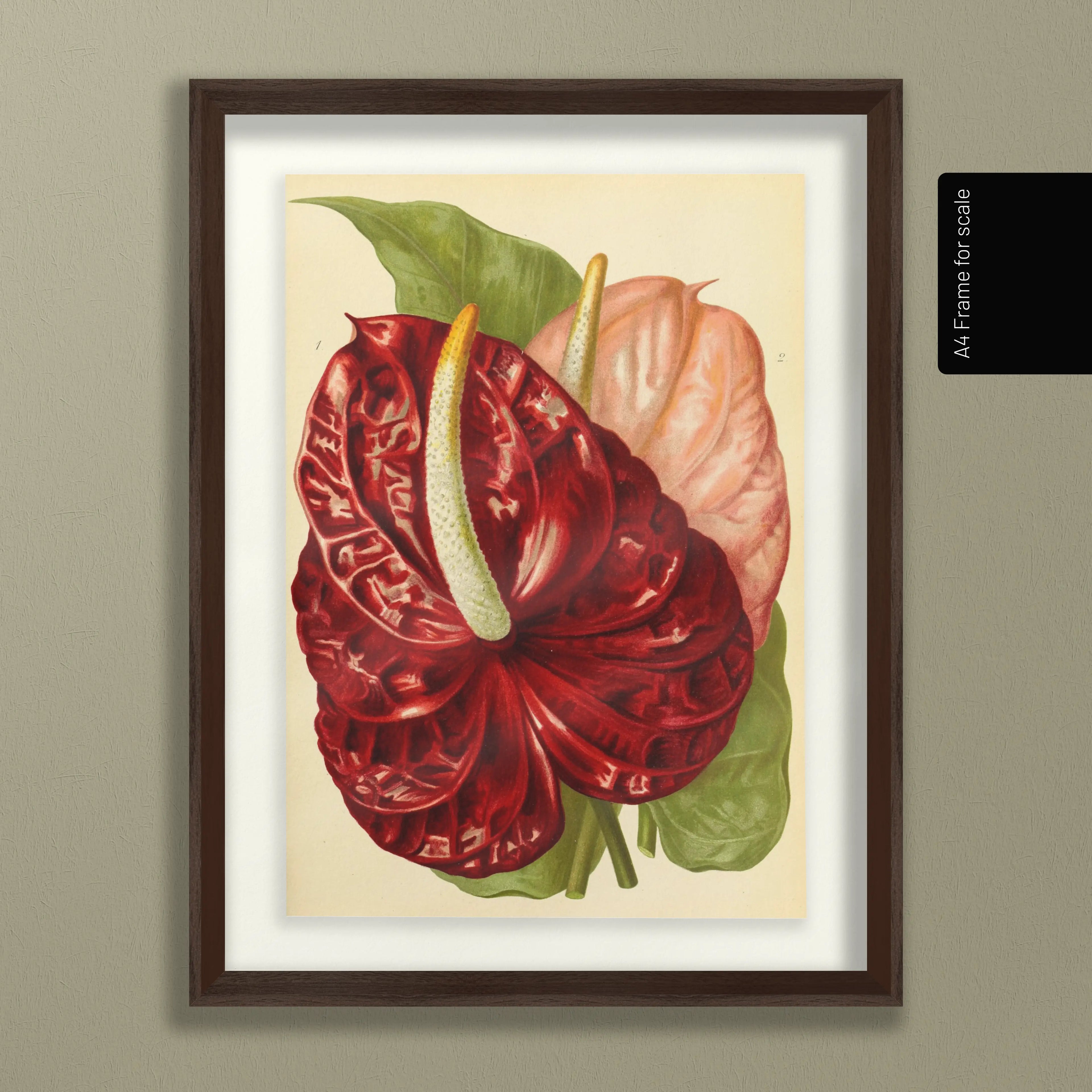 Floral: Plate No. 15