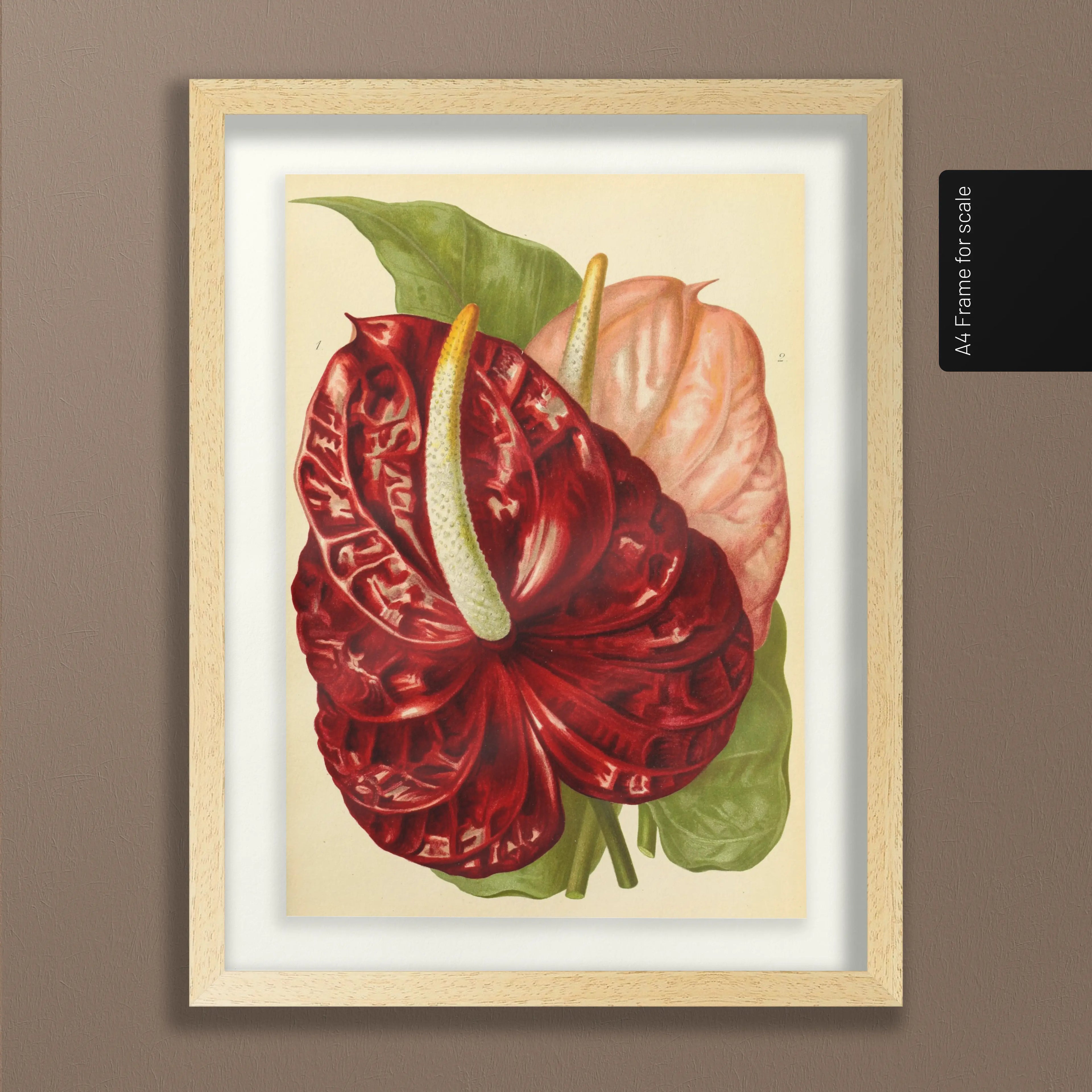Floral: Plate No. 15