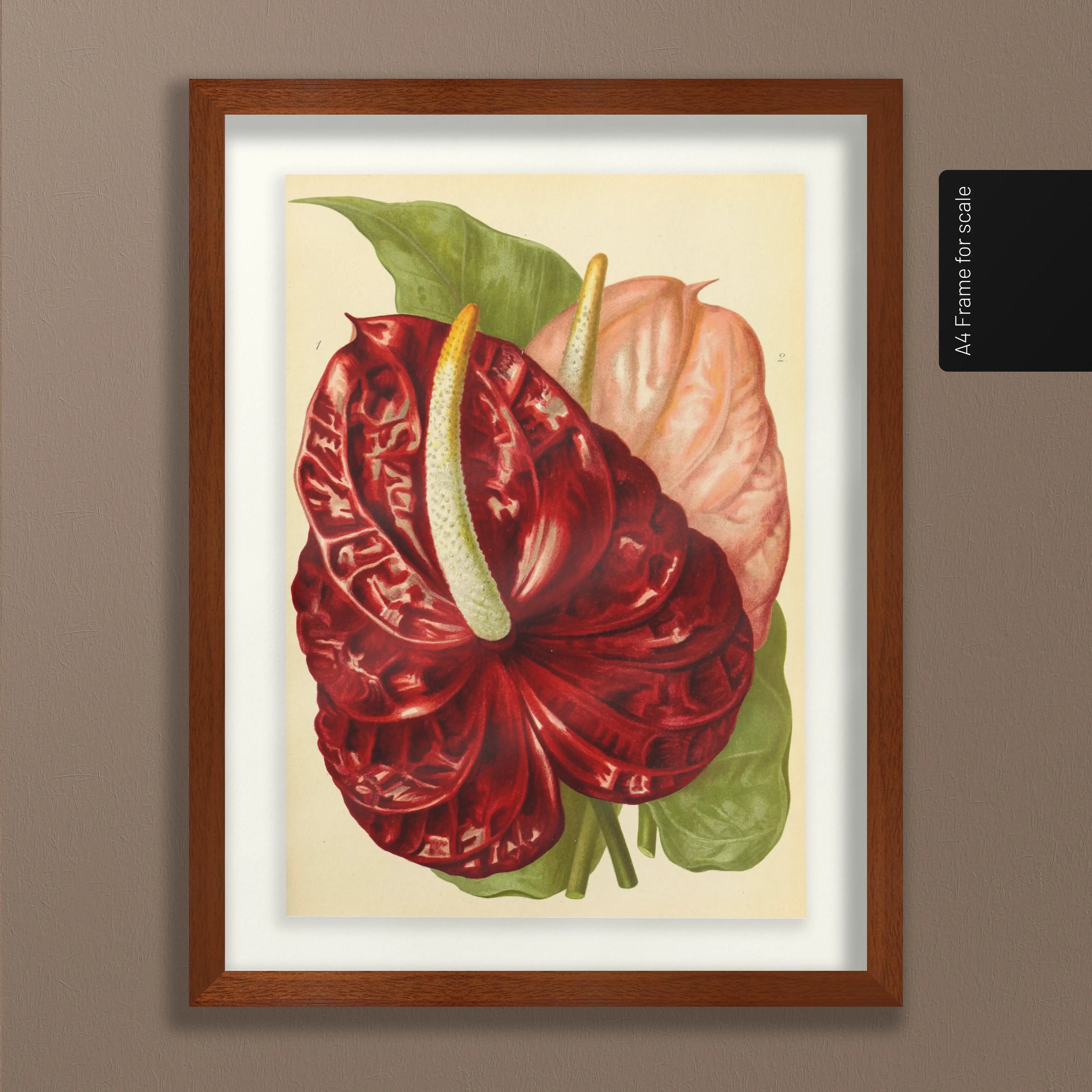 Floral: Plate No. 15