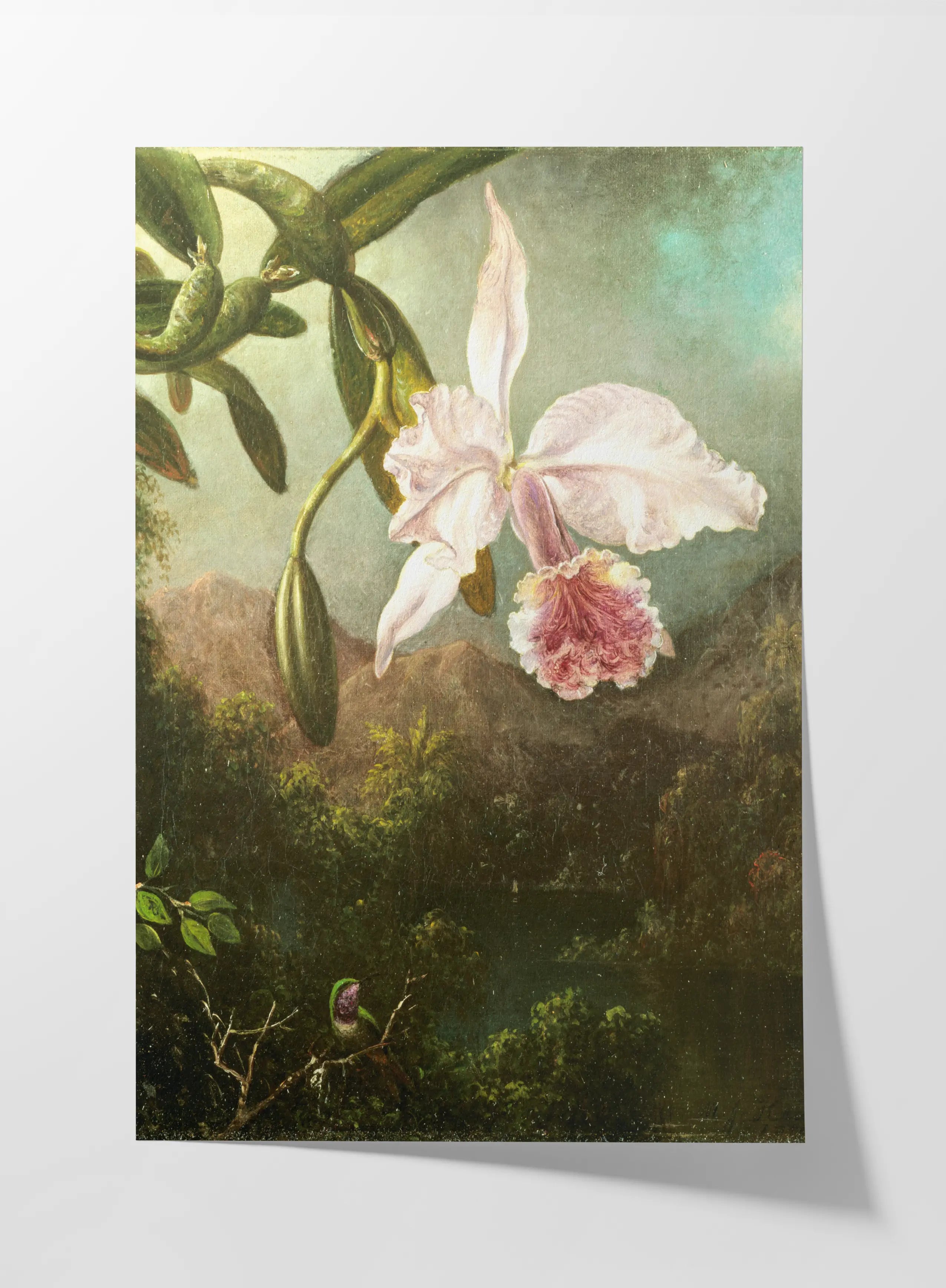 Floral: Plate No. 16
