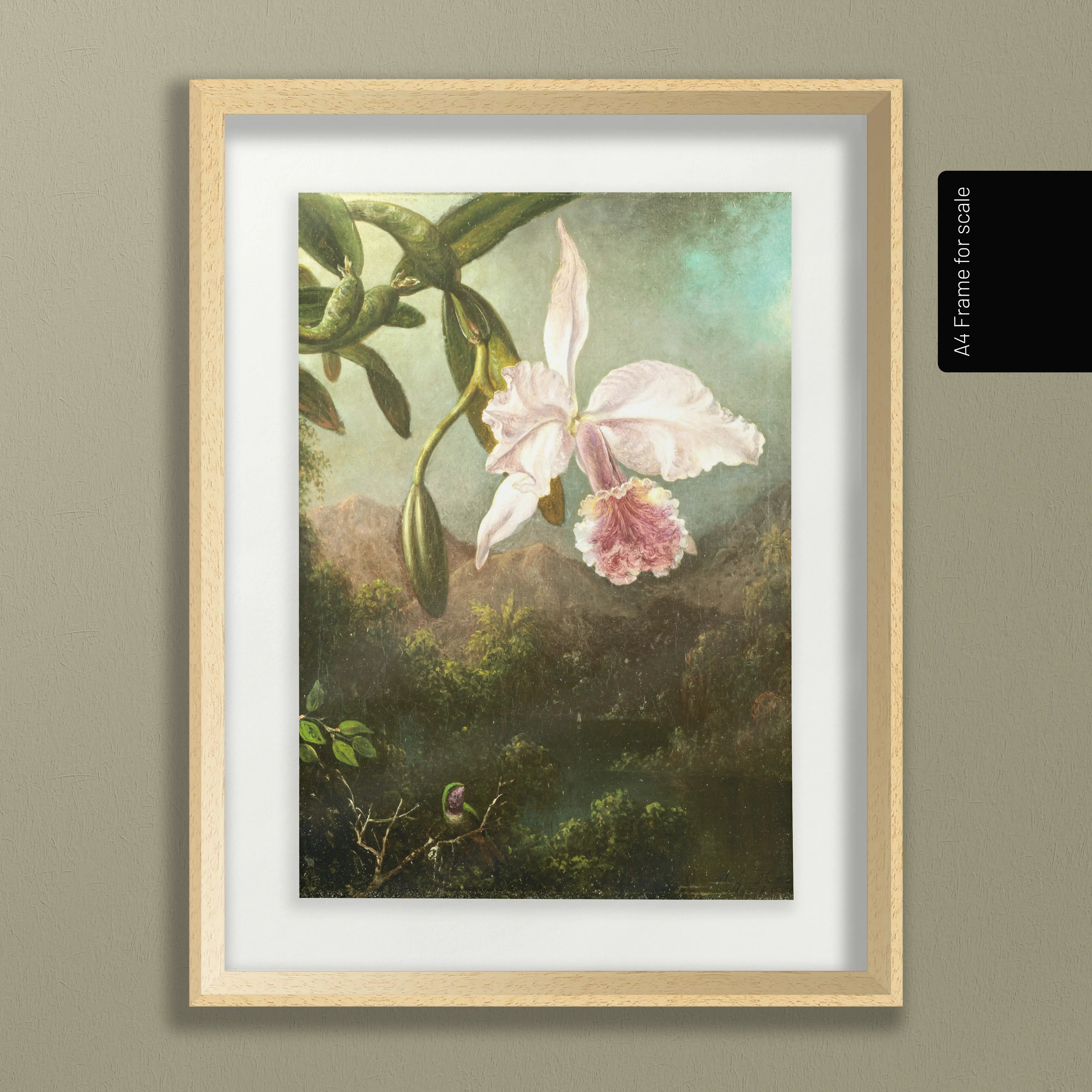 Floral: Plate No. 16