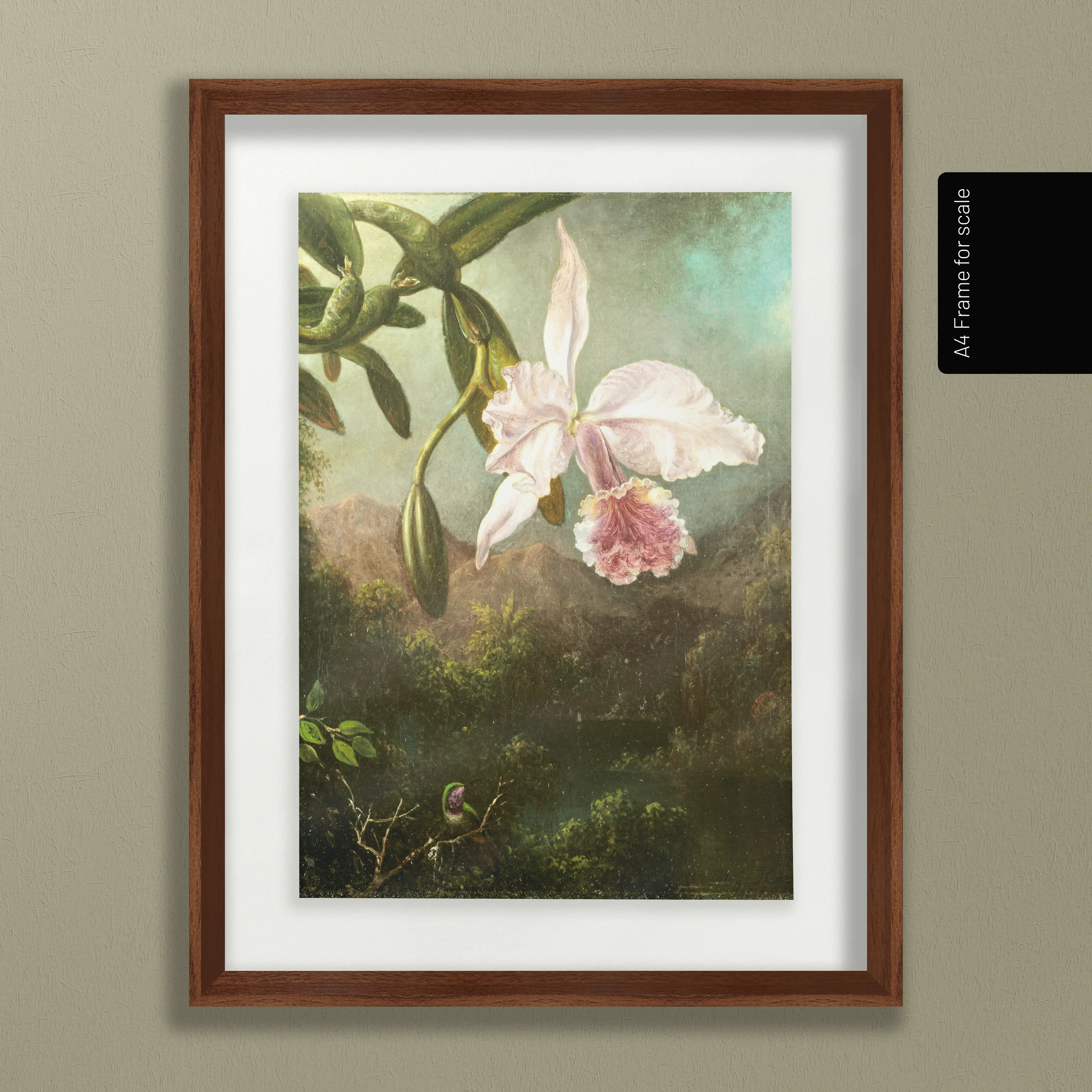 Floral: Plate No. 16