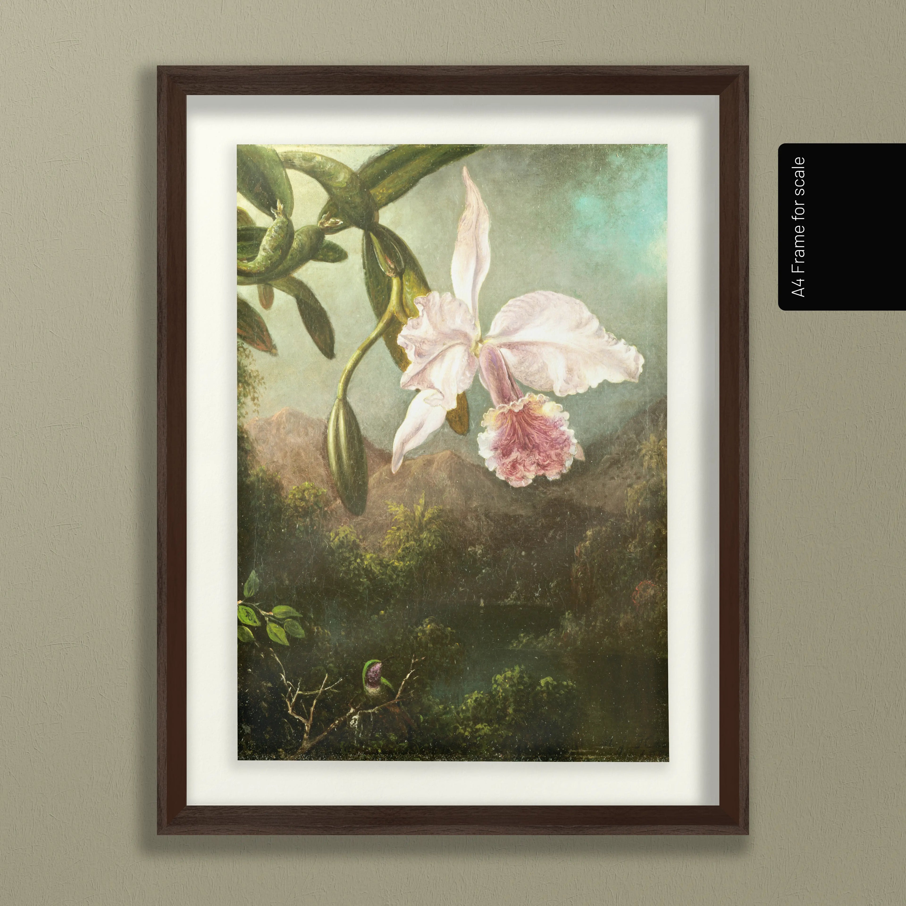 Floral: Plate No. 16