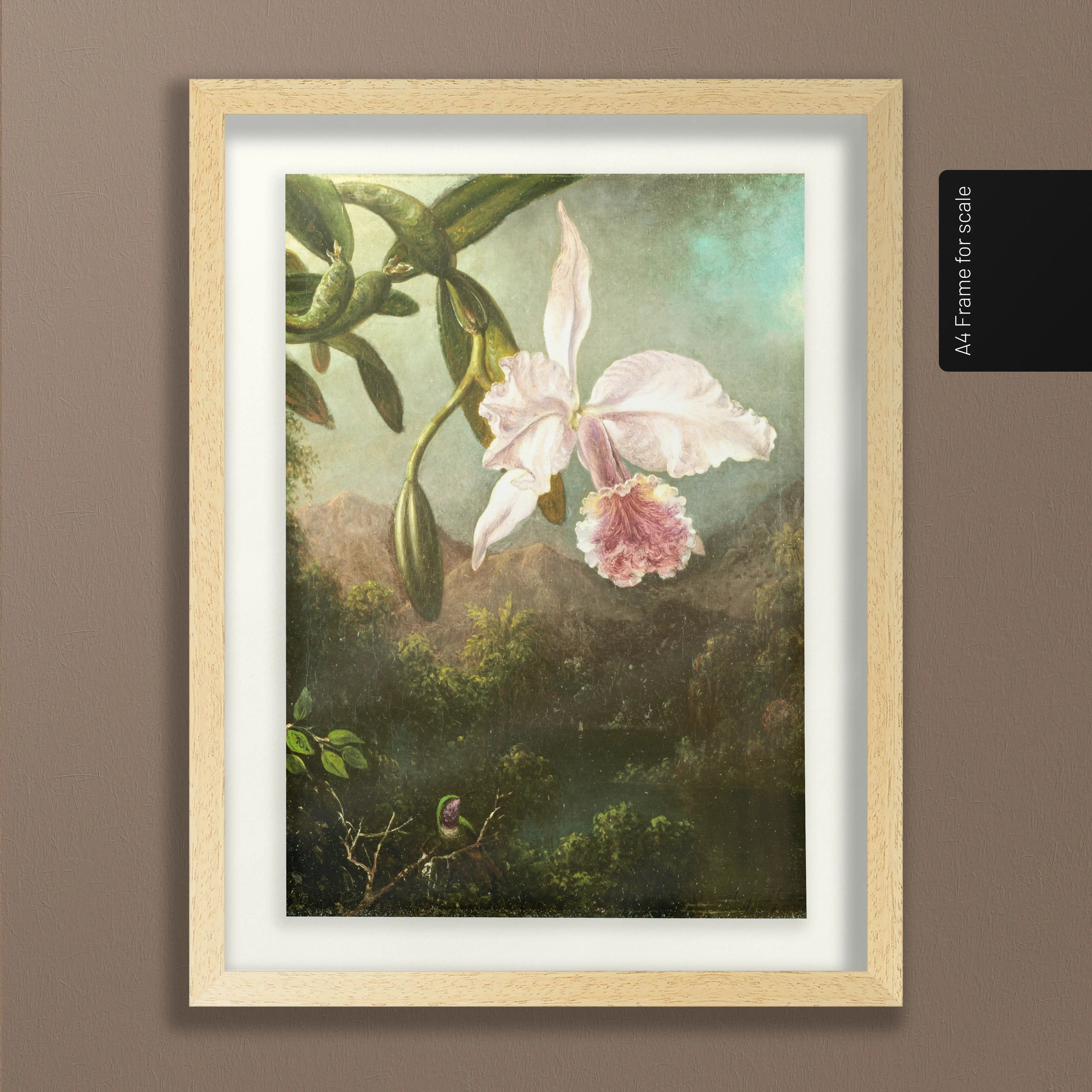 Floral: Plate No. 16
