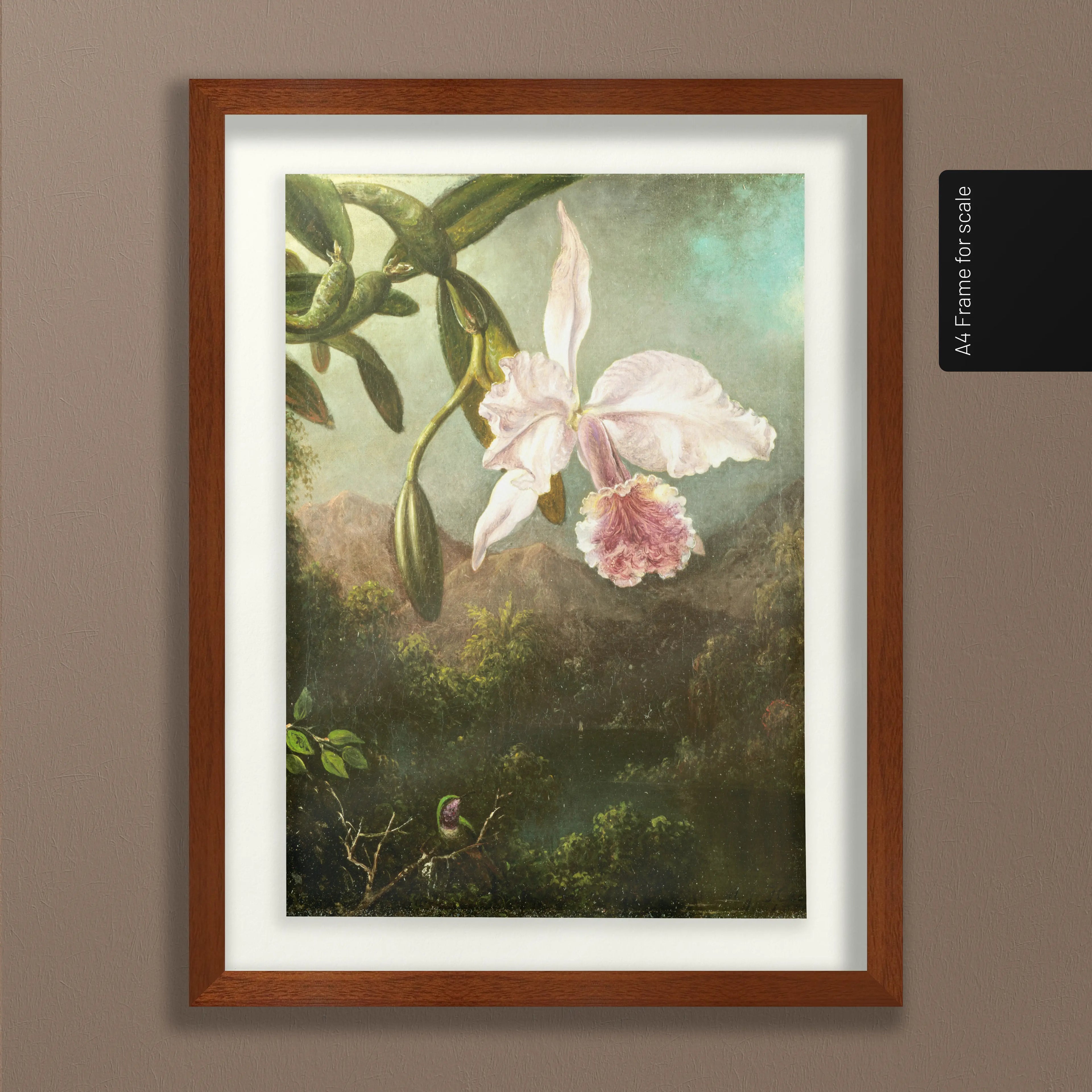 Floral: Plate No. 16