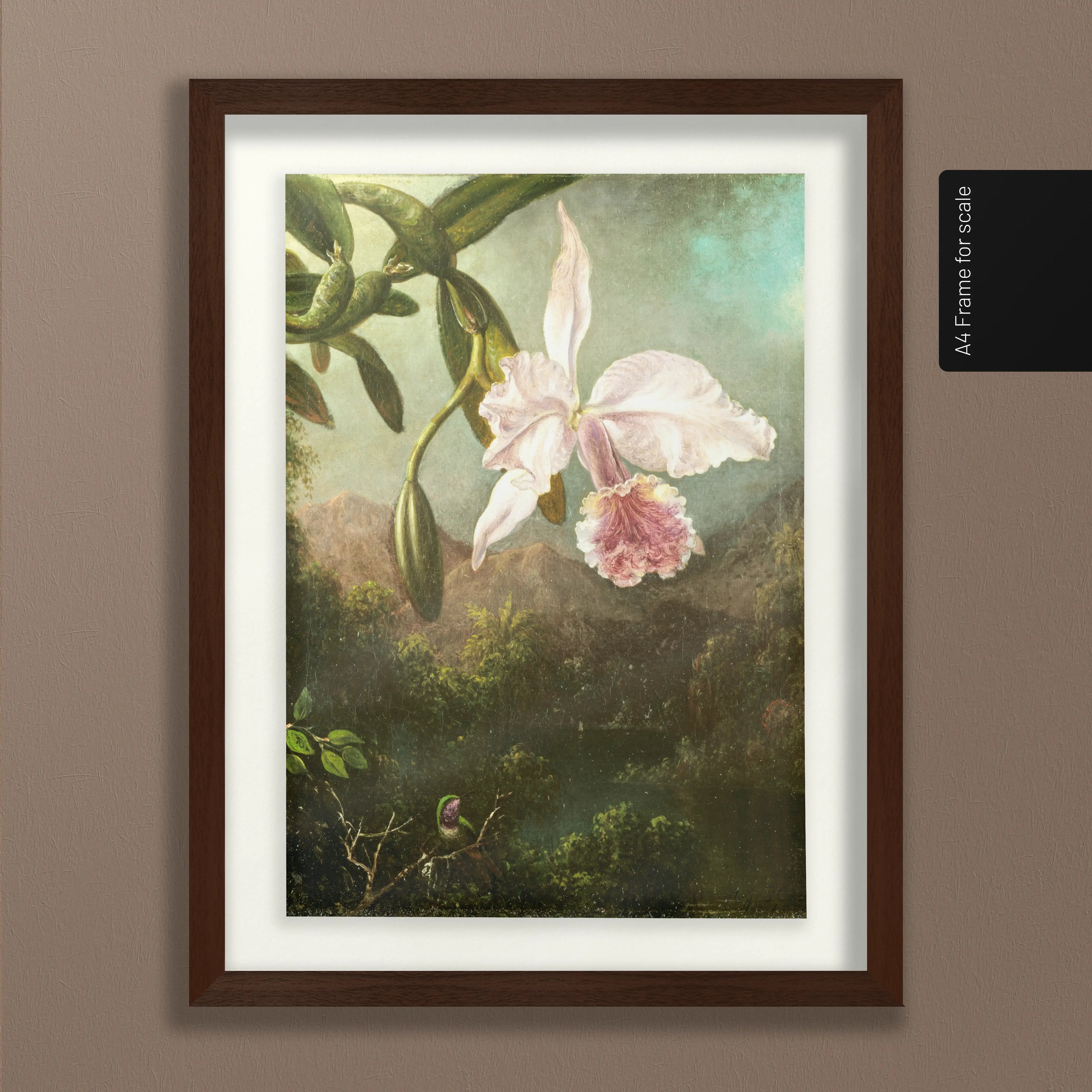 Floral: Plate No. 16