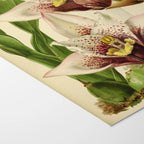 Floral: Plate No. 17
