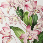 Floral: Plate No. 18
