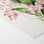 Floral: Plate No. 18