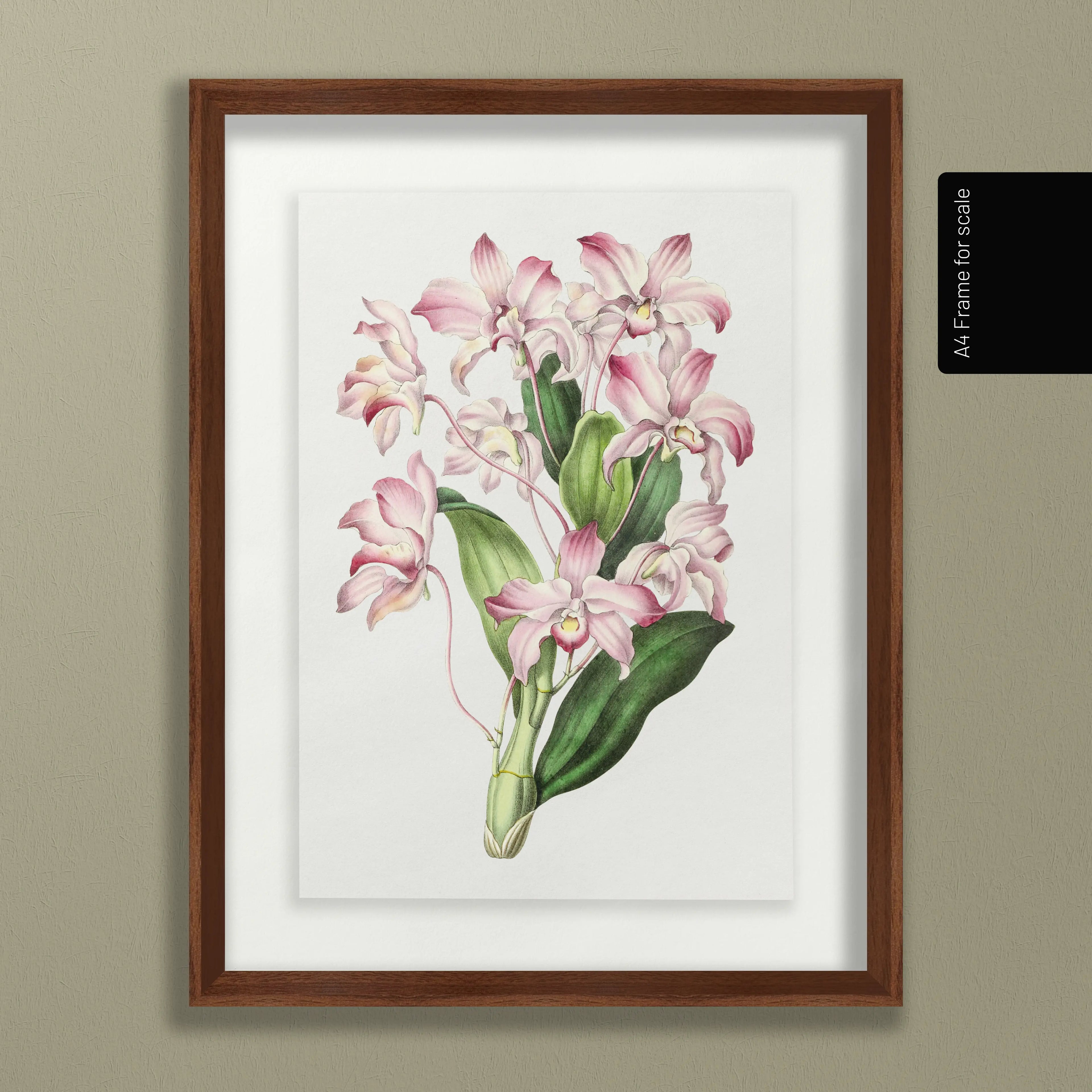Floral: Plate No. 18