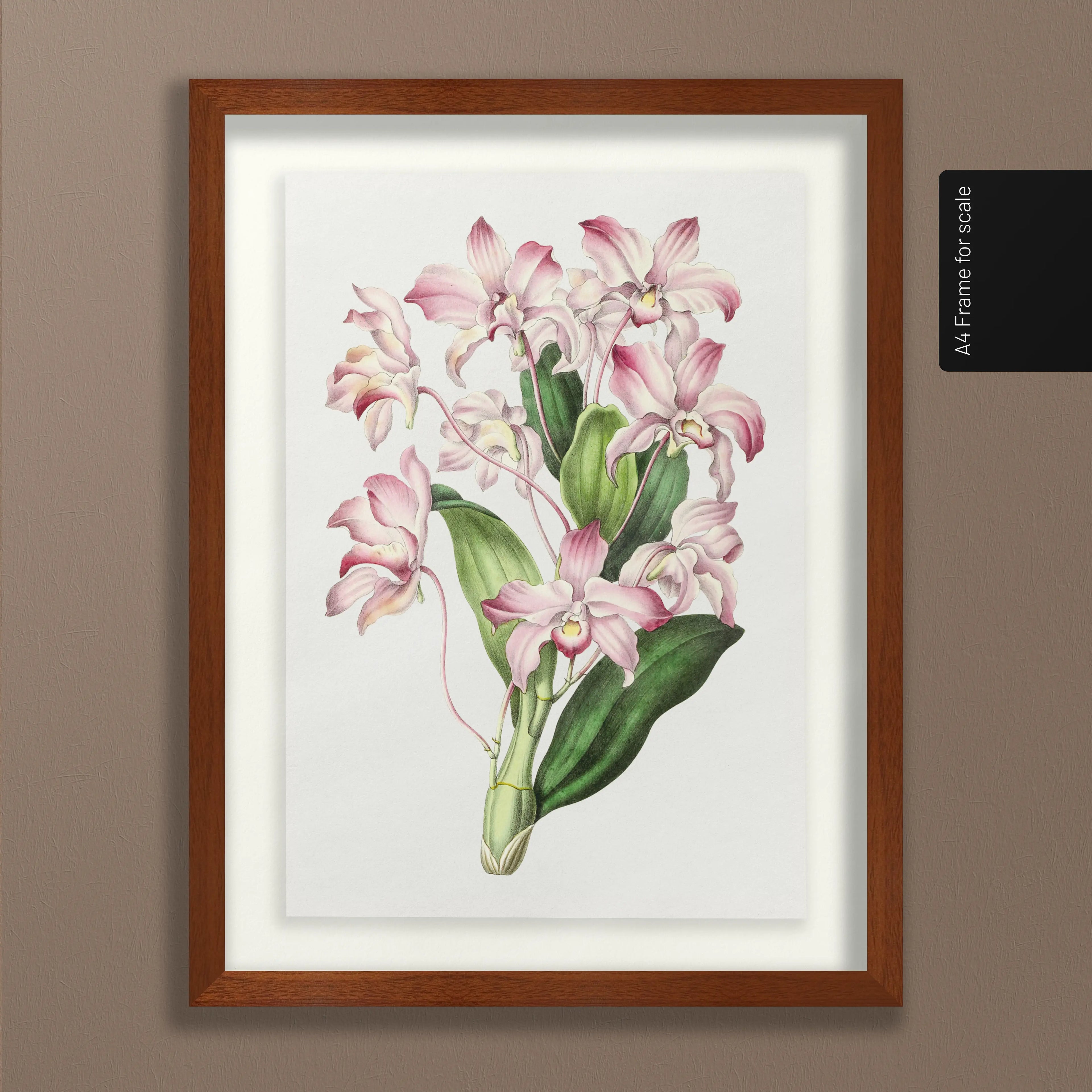 Floral: Plate No. 18