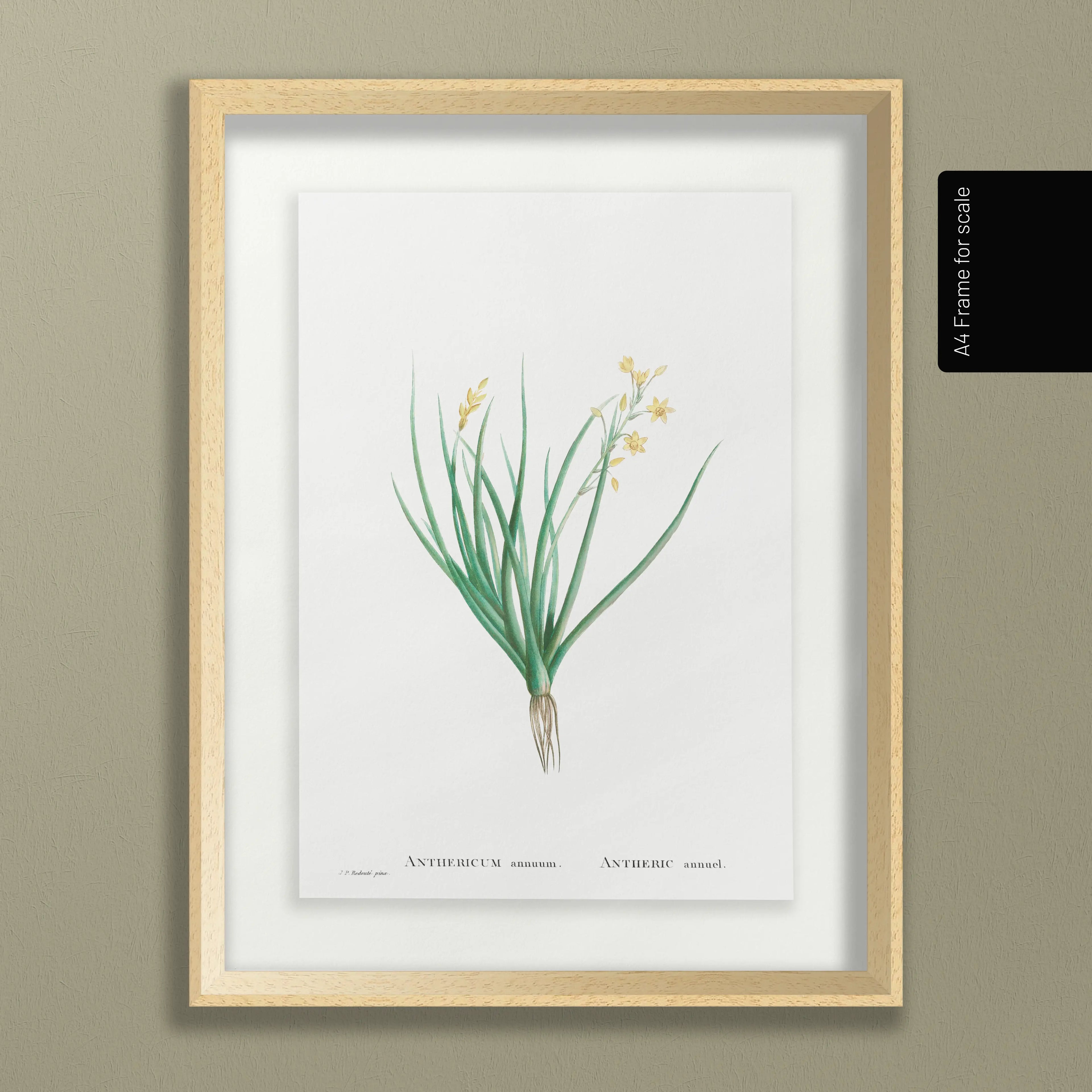 Floral: Plate No. 19