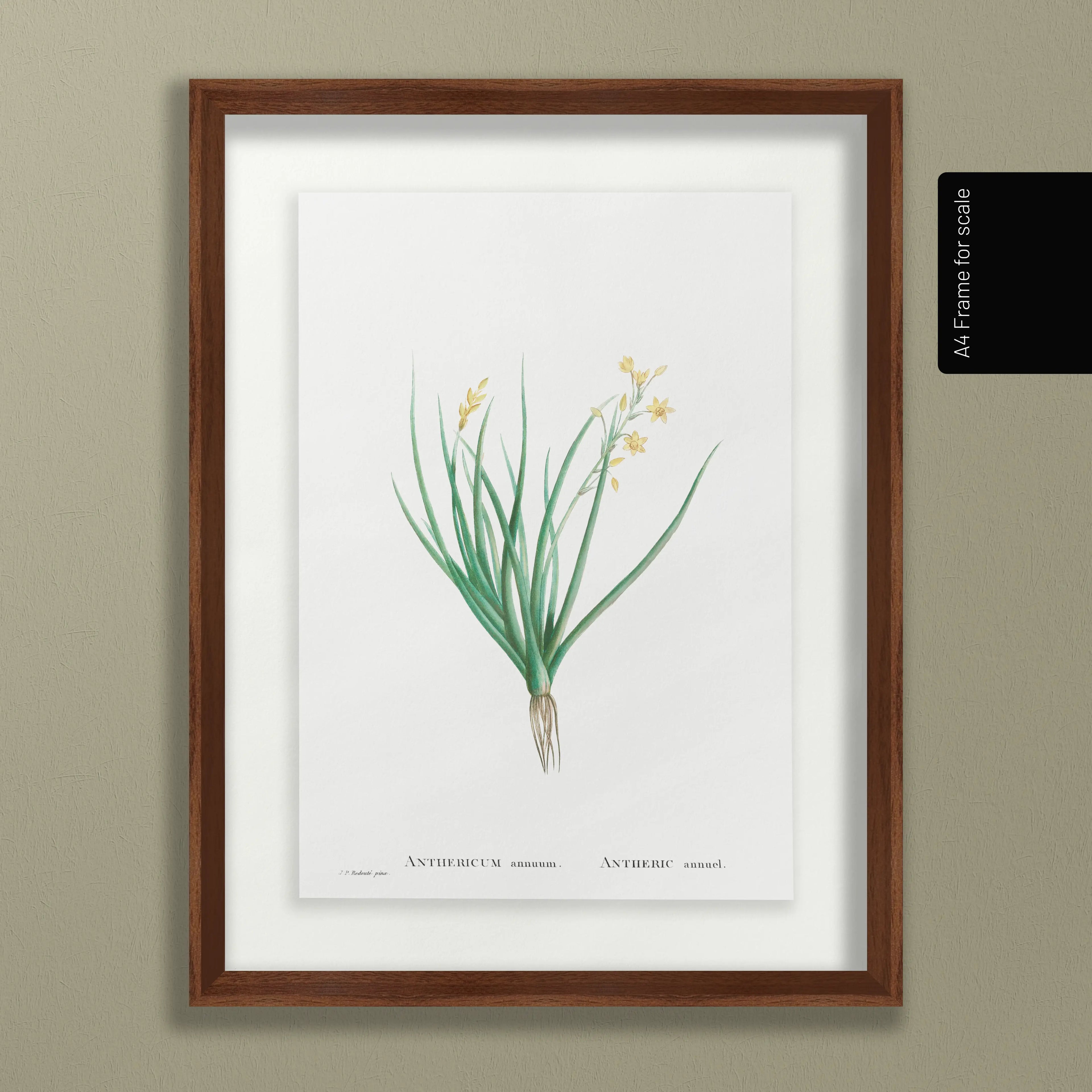 Floral: Plate No. 19