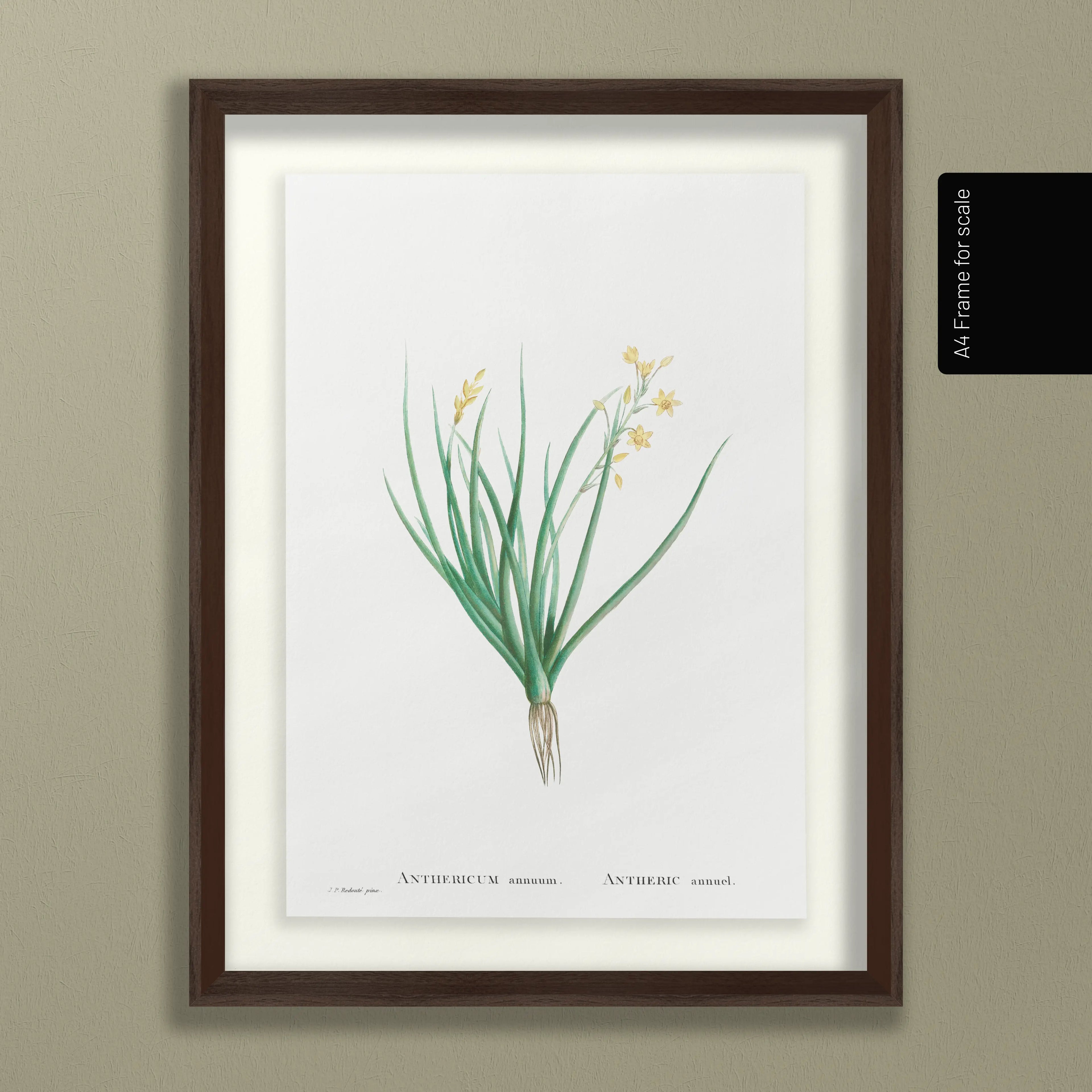 Floral: Plate No. 19