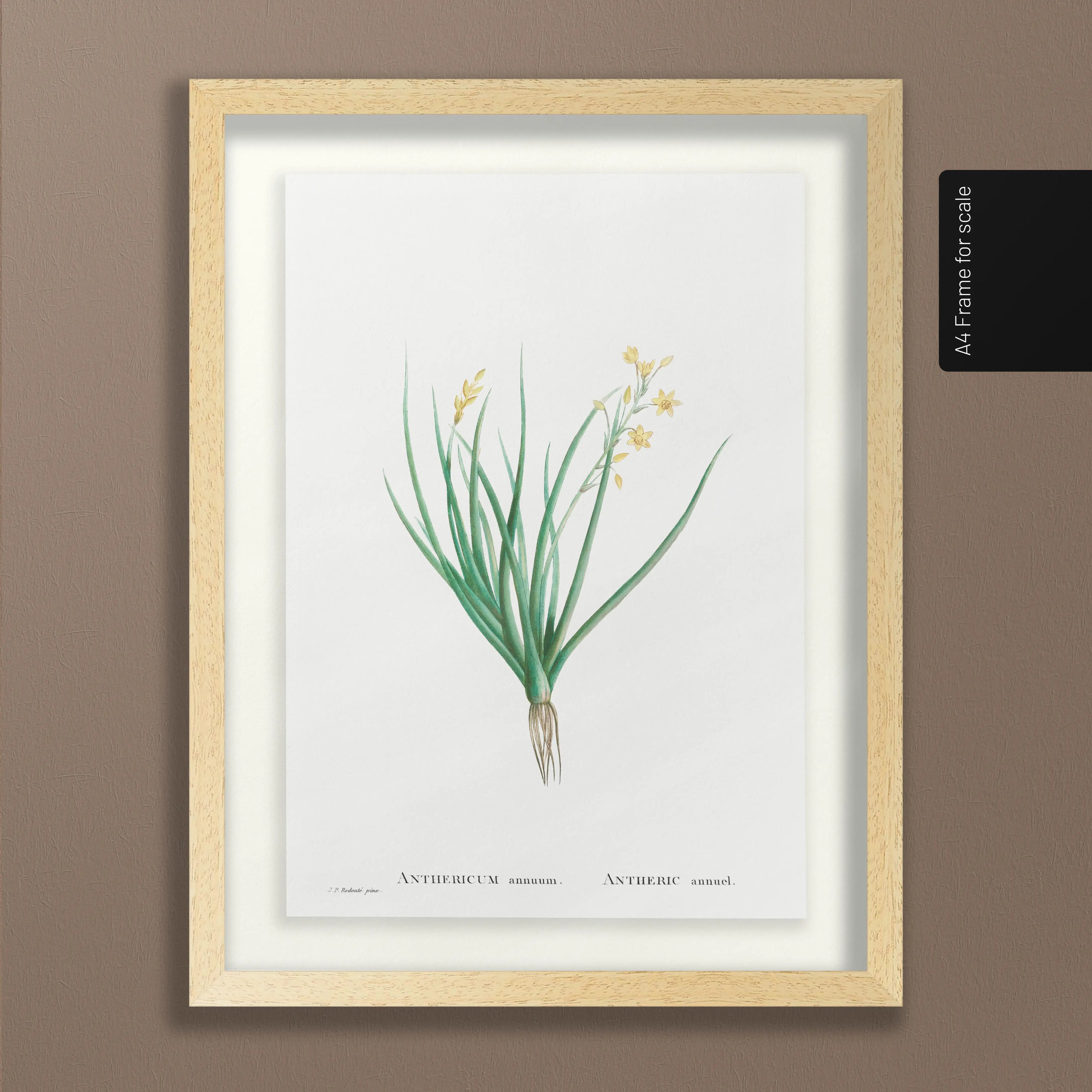 Floral: Plate No. 19
