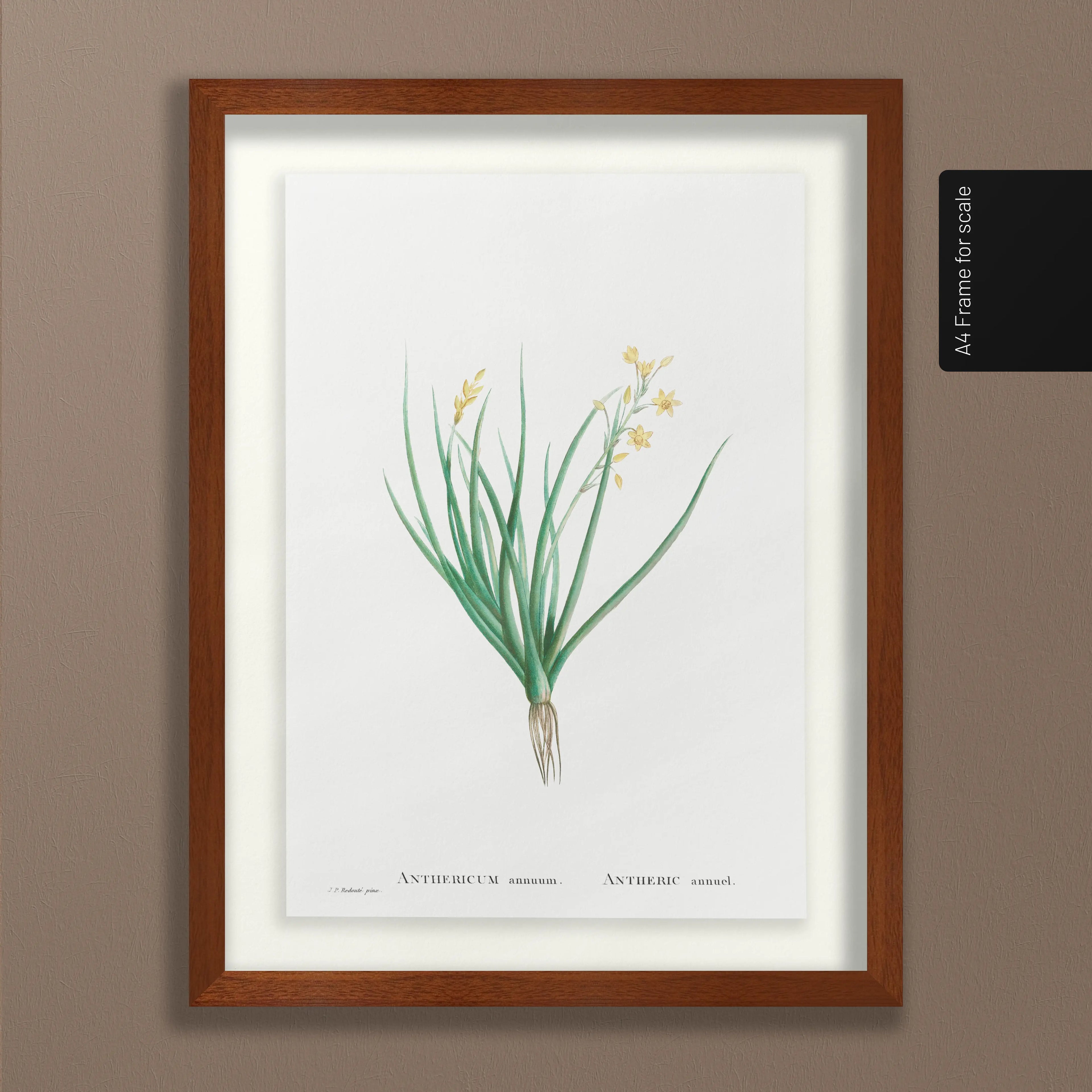 Floral: Plate No. 19
