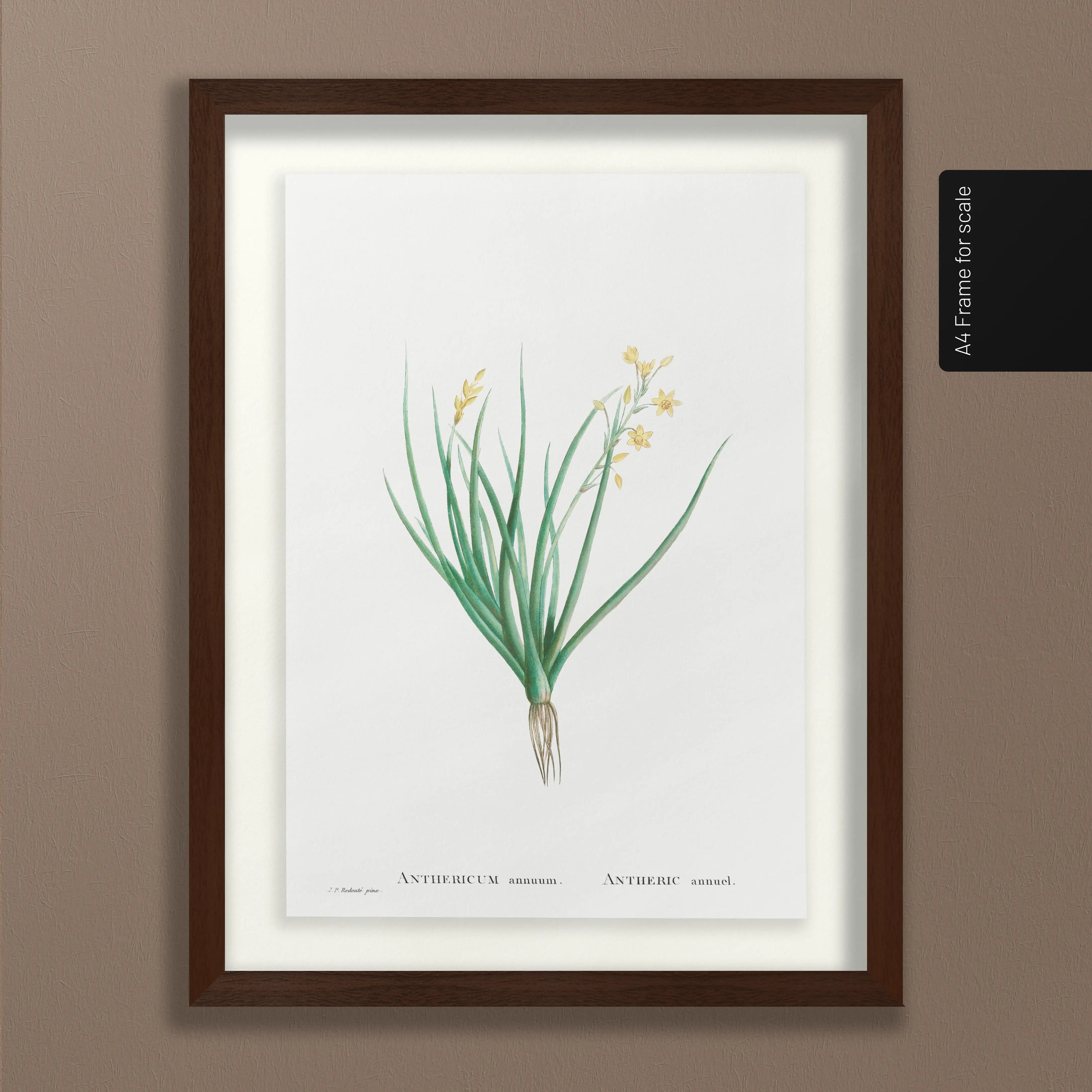 Floral: Plate No. 19