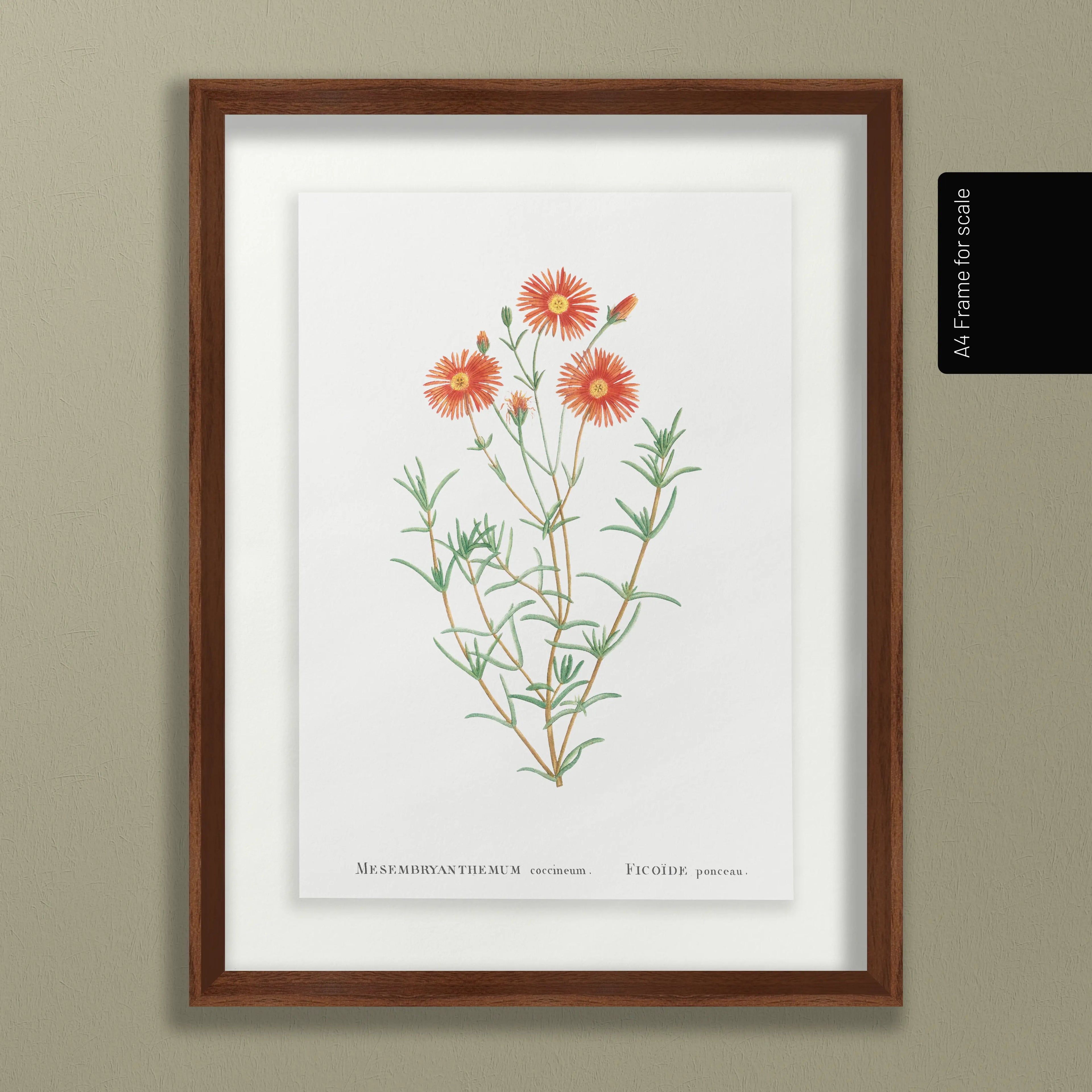 Floral: Plate No. 21