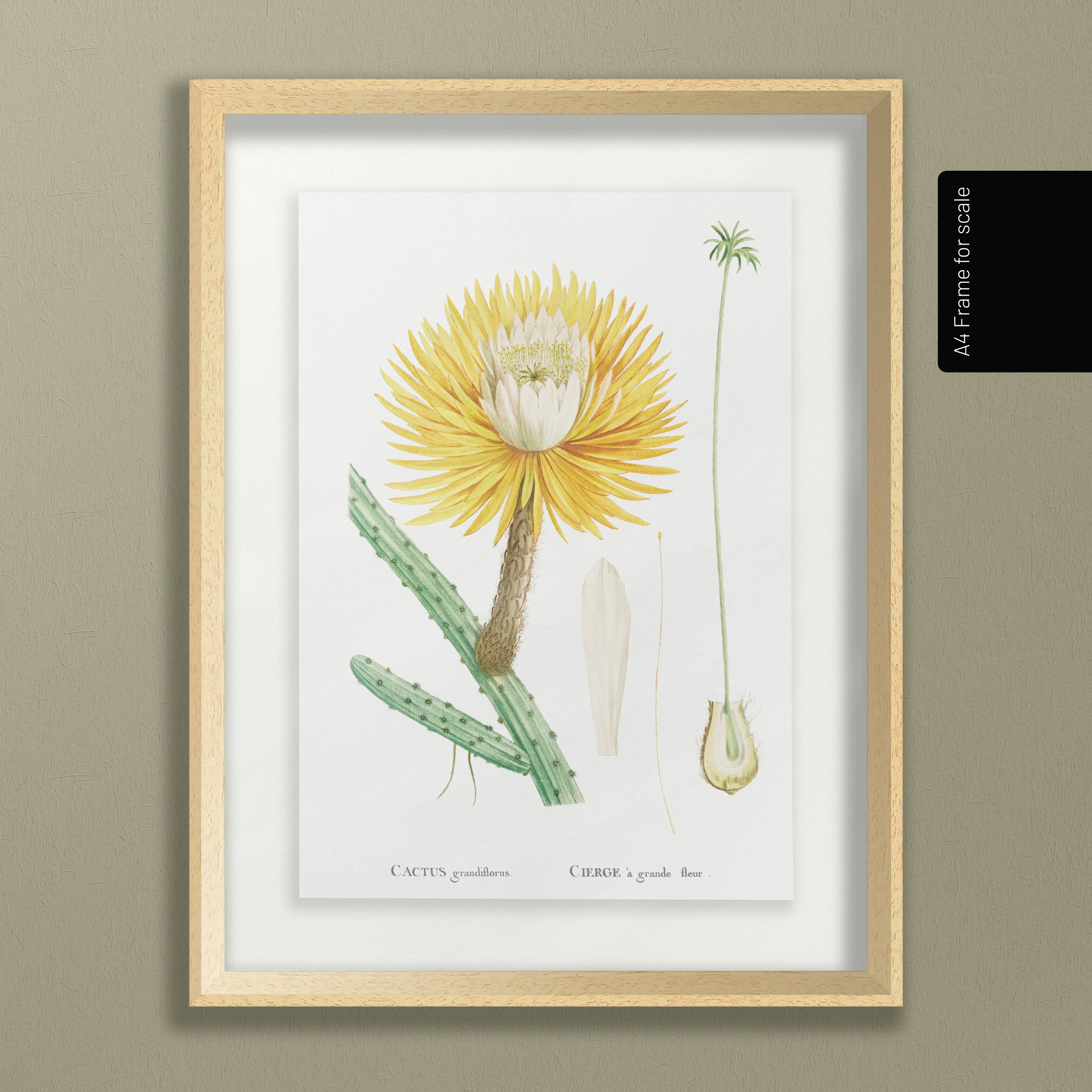Floral: Plate No. 22