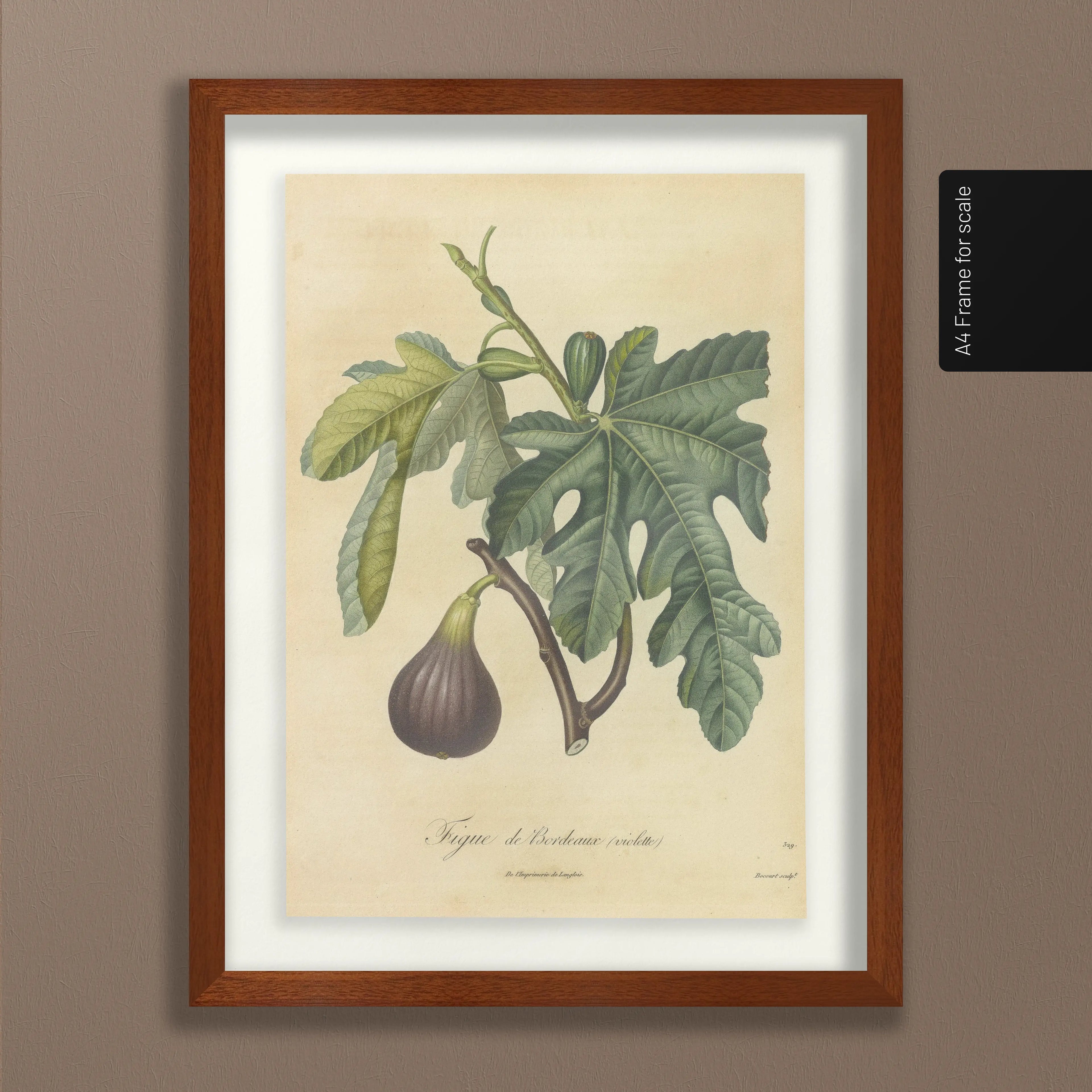 Fruits & Vegetables: Plate No. 15