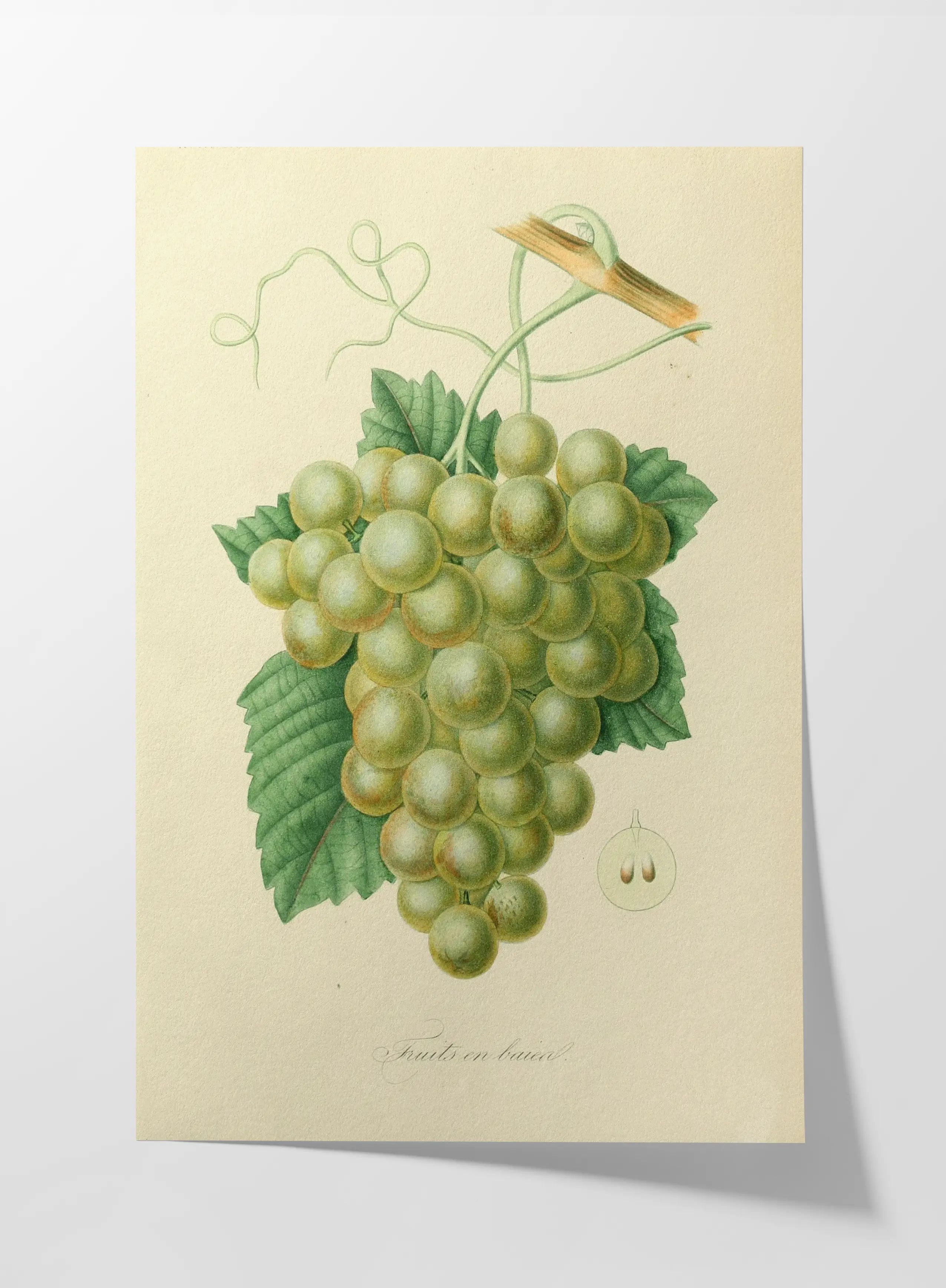 Fruits & Vegetables: Plate No. 20