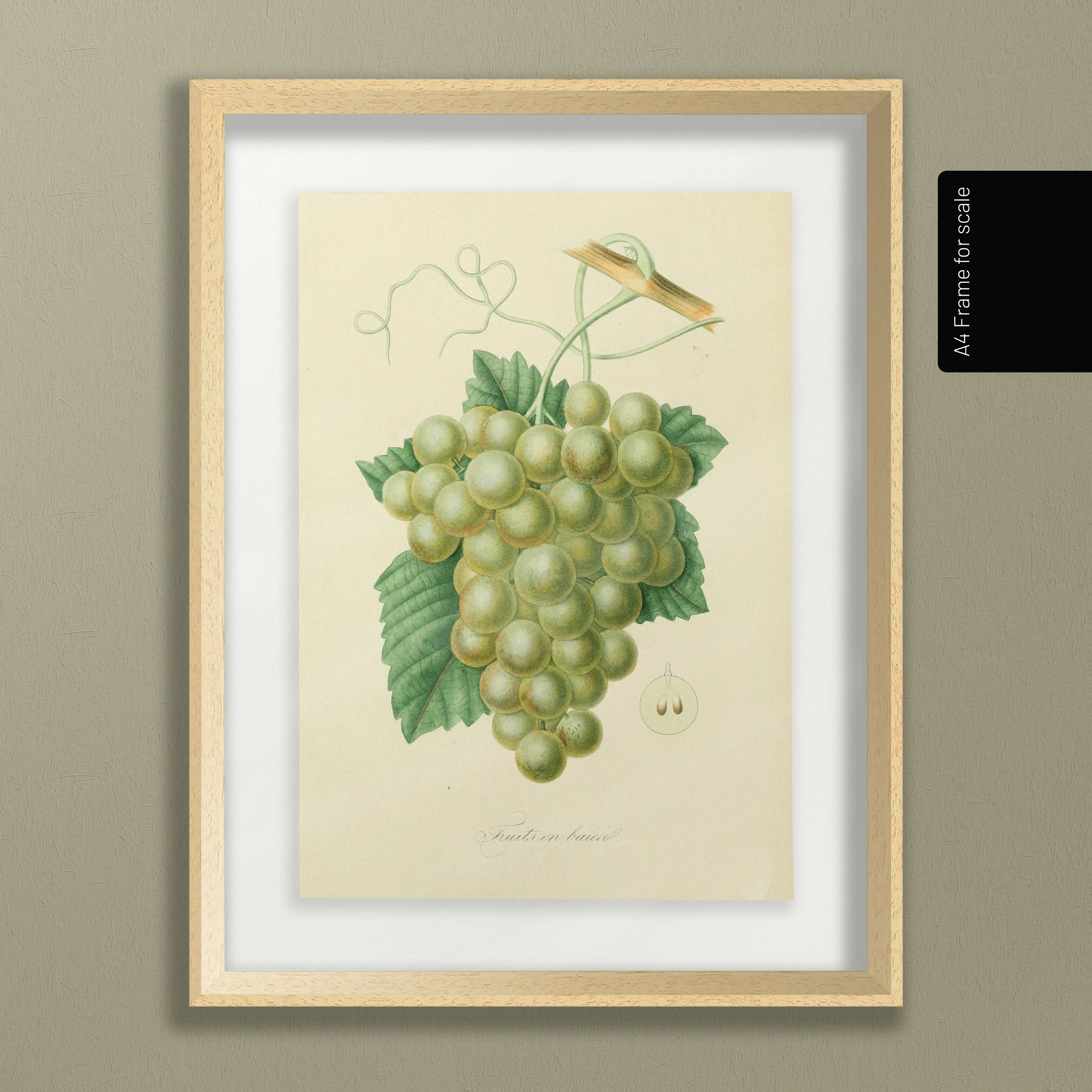 Fruits & Vegetables: Plate No. 20