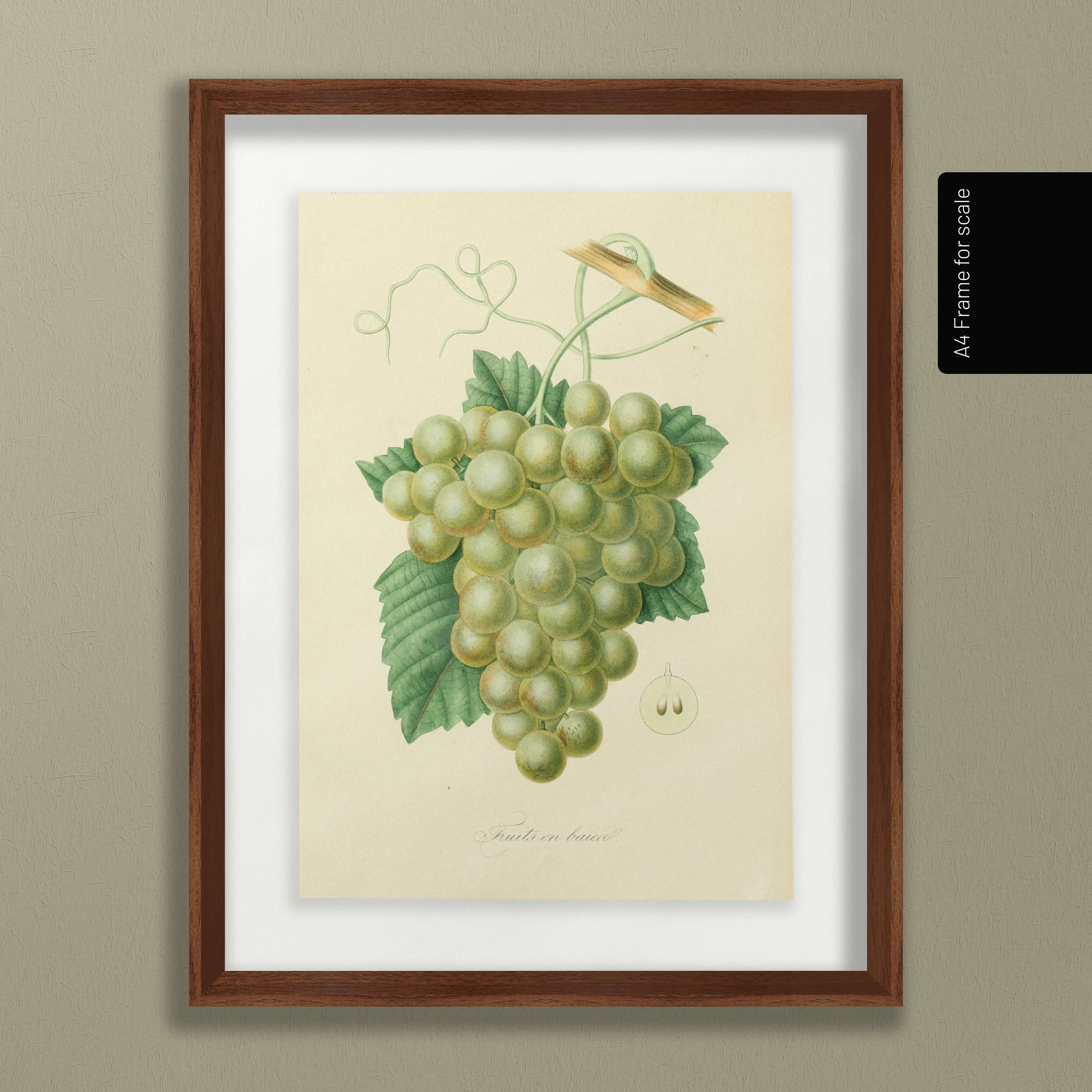 Fruits & Vegetables: Plate No. 20