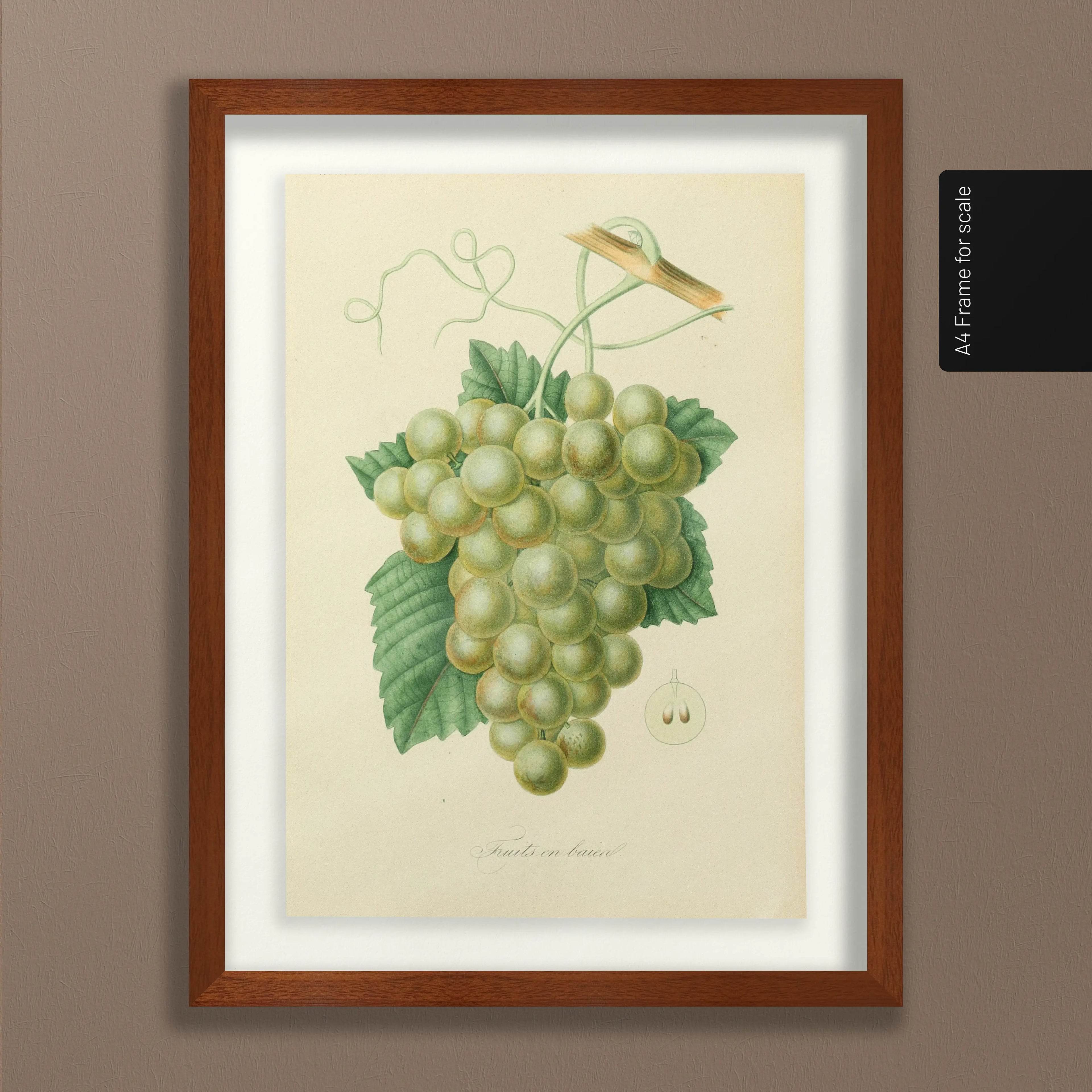 Fruits & Vegetables: Plate No. 20